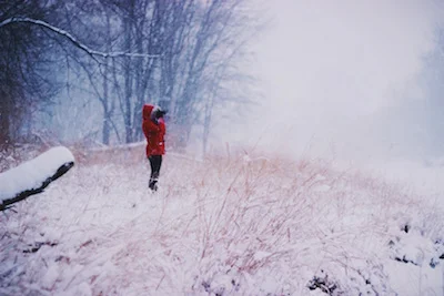 winter, snow