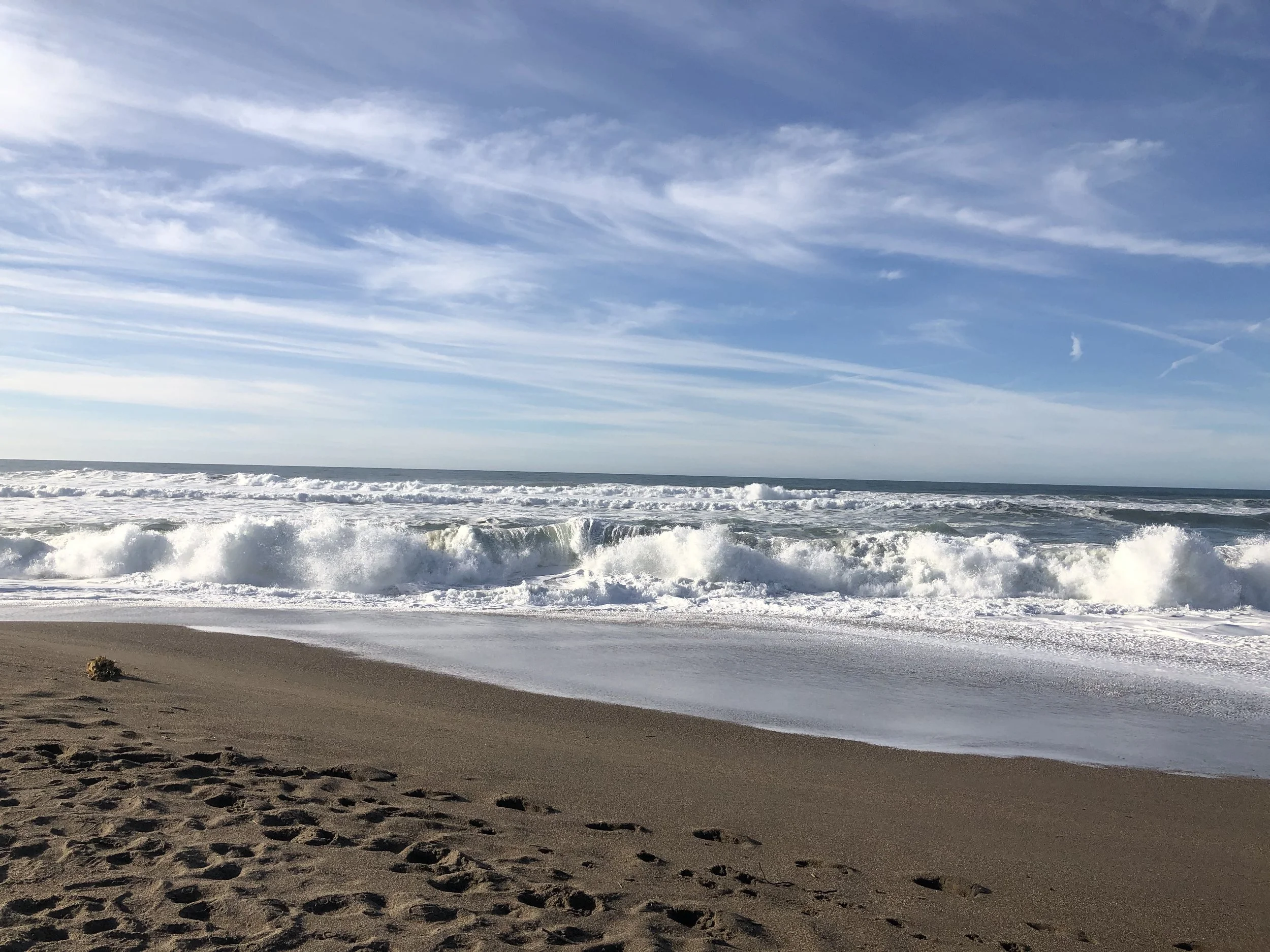 IMG_6101.jpeg