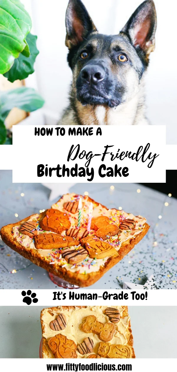 Dogfriendly Birthday Cake .jpg