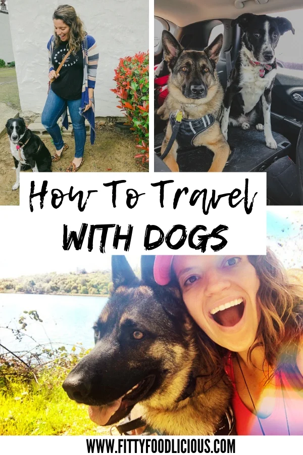 How to travel with your dog.jpg