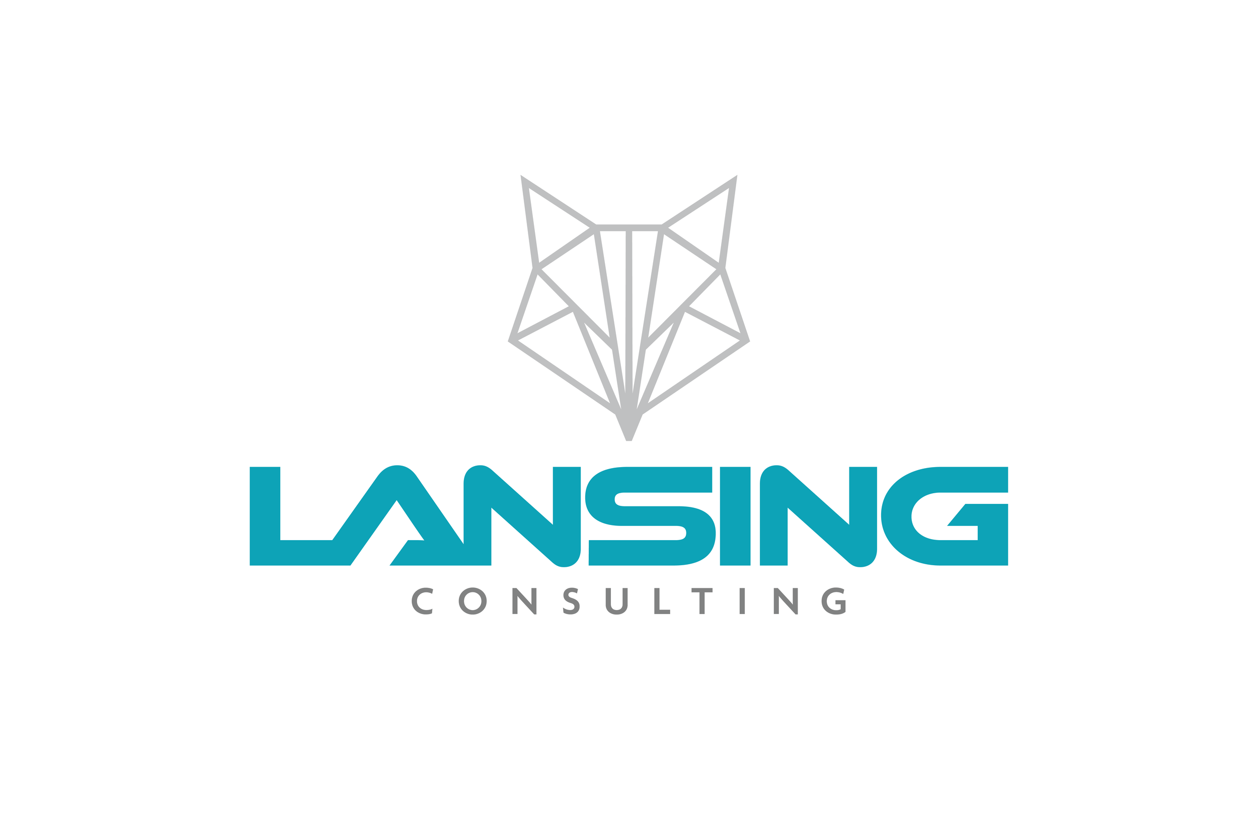Original logo design for Lansing Consulting created by Creativesphere graphic design studio