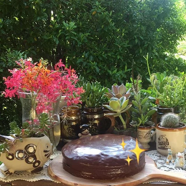 Sachet torte 🎂 for a great friend of mines birthday today I’ve made this torte with apricot jam layered and just a little bit of the rum in the ganache #justalittlebit #baking #cake 💕