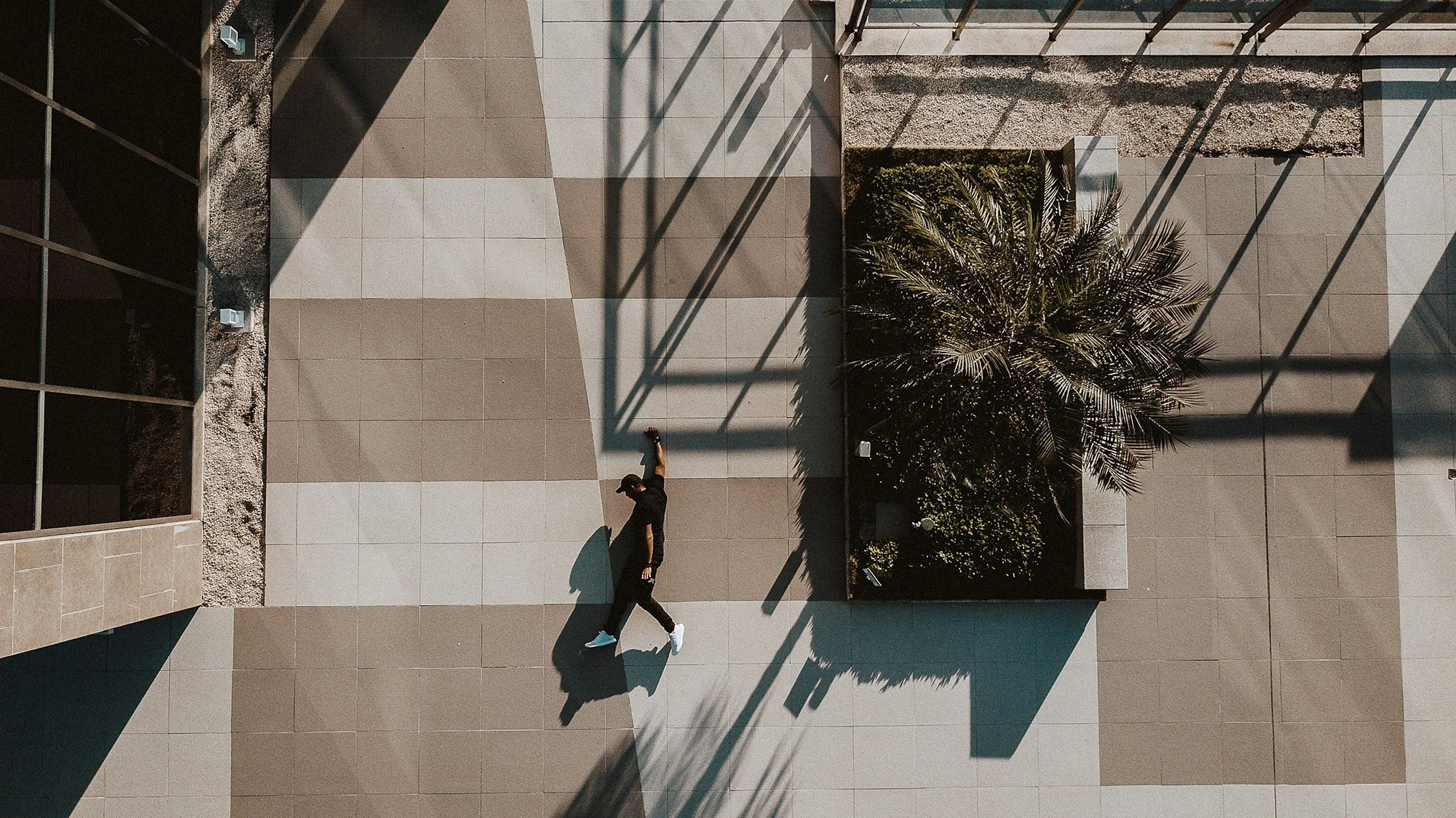 A person walking past a planter with a palm tree on a large tiled ground, with shadows cast by a nearby structure.