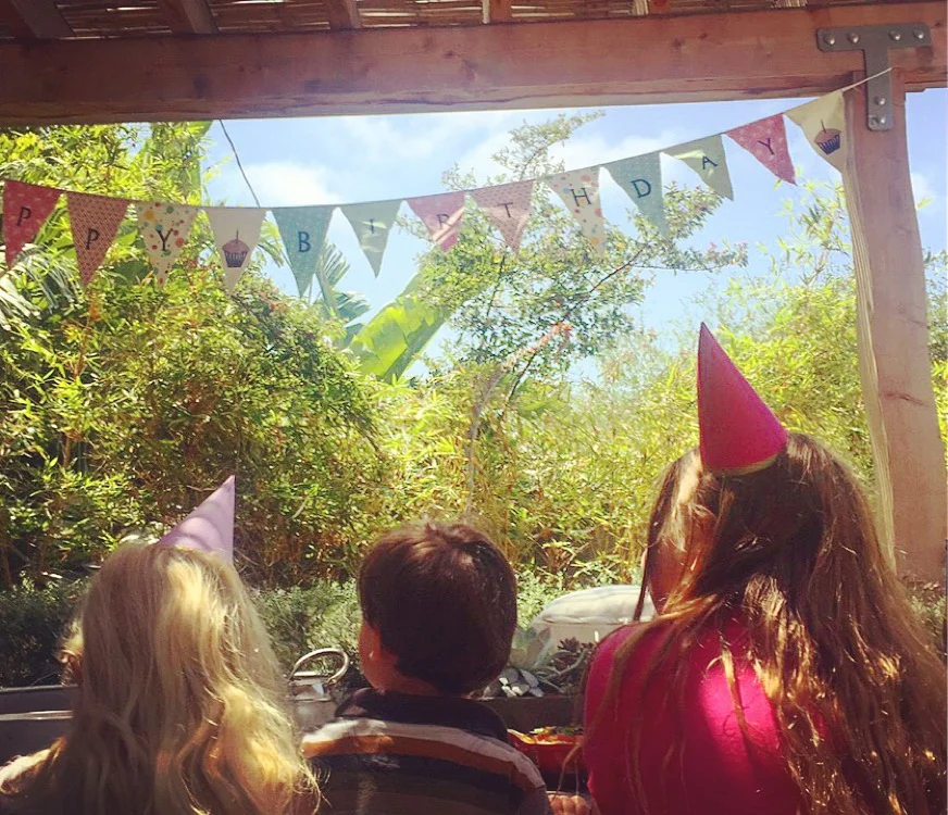 I saved this bunting from Van's first birthday and I use it every year!