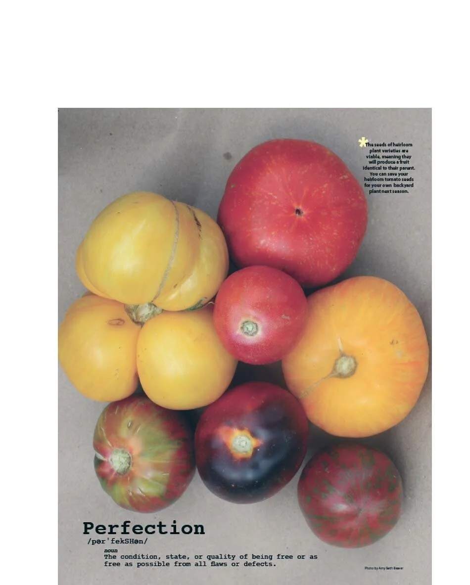 Perfection+Redefined.jpg