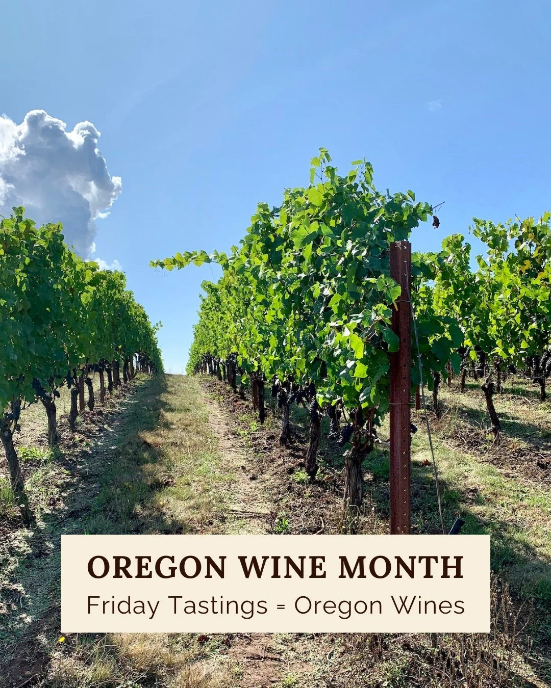 May is Oregon Wine Month, and we&rsquo;re celebrating all month long.

Join us every Friday night for tastings featuring wines from right here in Oregon. Different producers and styles each week.

We&rsquo;re kicking things off this Friday with a lin