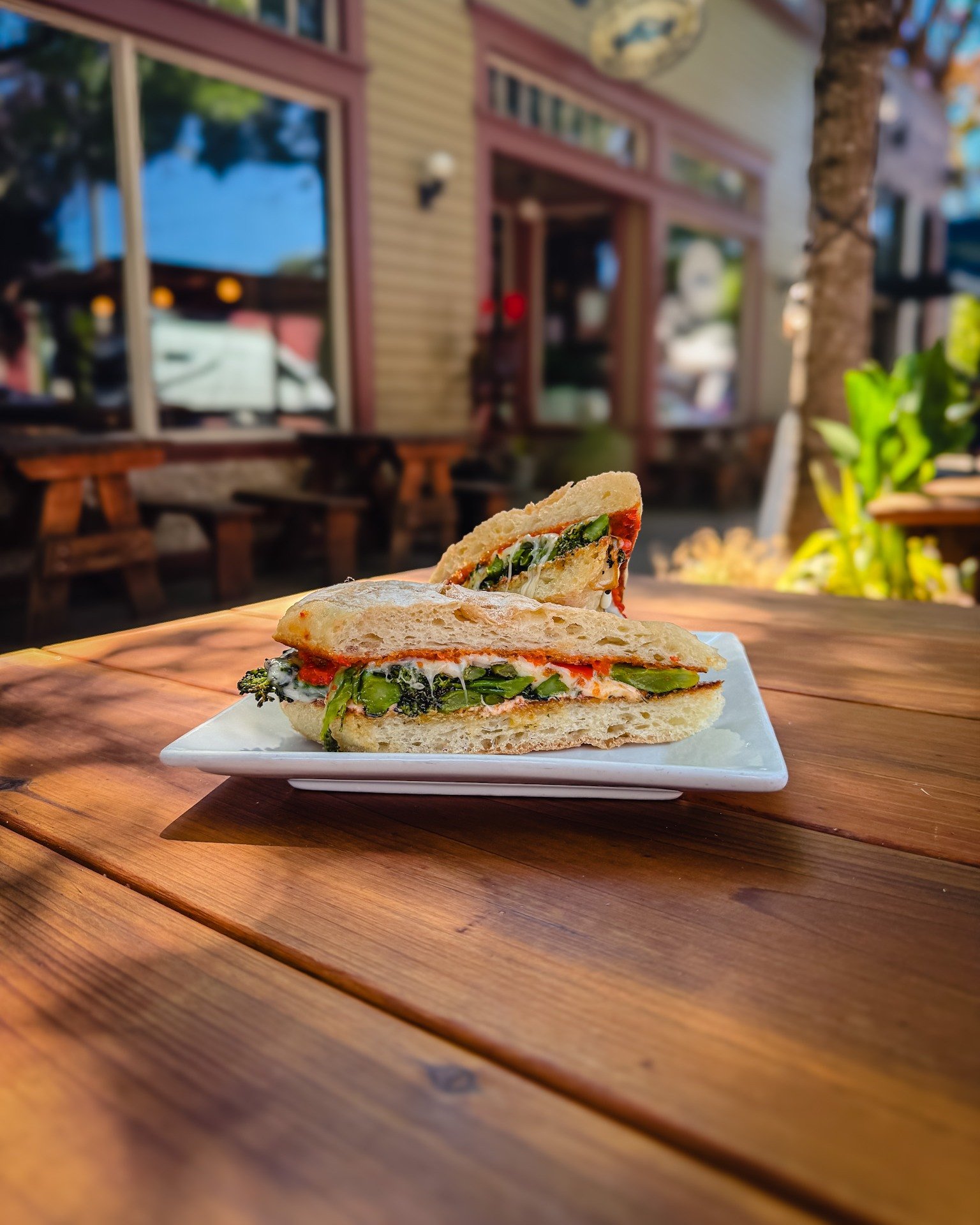 Roasted veg on the patio? That's the move.
Garlic broccolini, red onion, aged provolone, pepper spread, and roasted tomato aioli on ciabatta.