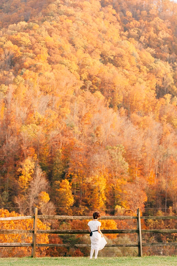 KatieStoopsPhotography-Asheville Wedding49.jpg