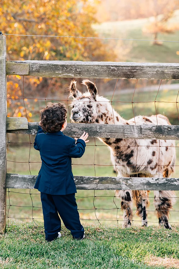 KatieStoopsPhotography-Asheville Wedding56.jpg