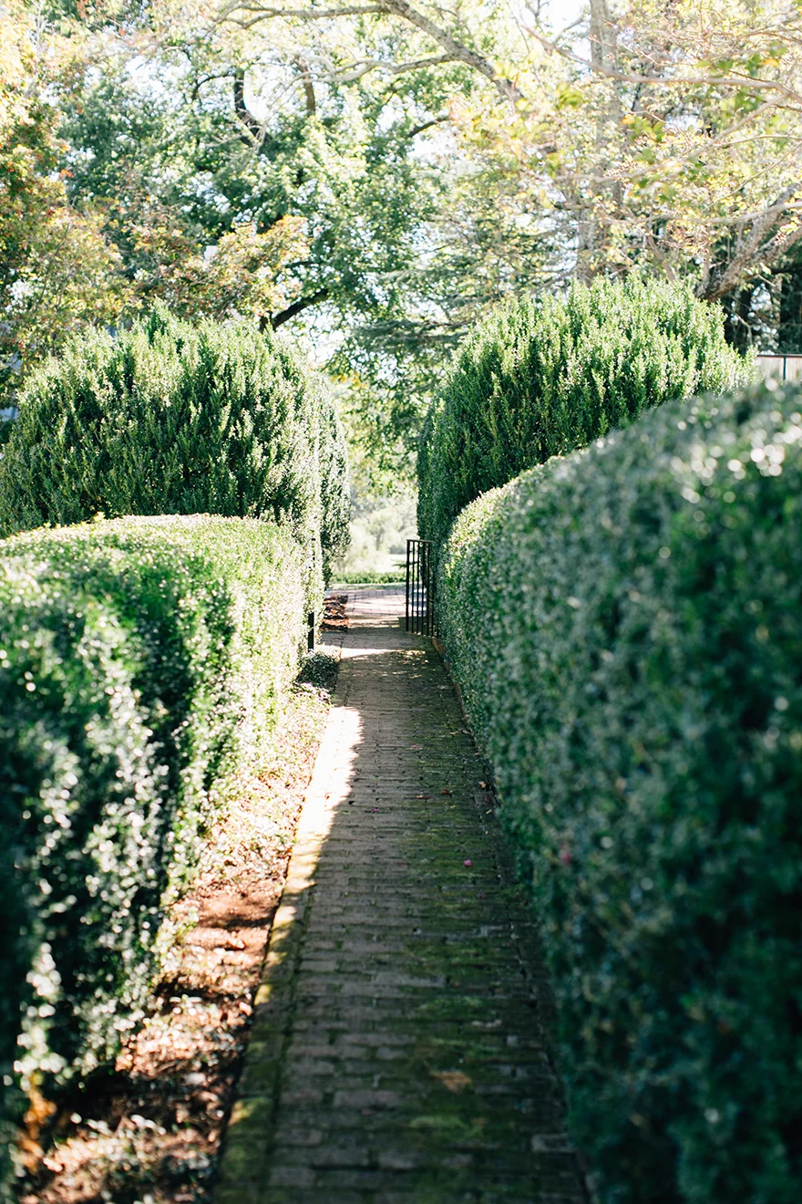 KatieStoopsPhotography-charlottesville wedding02.jpg