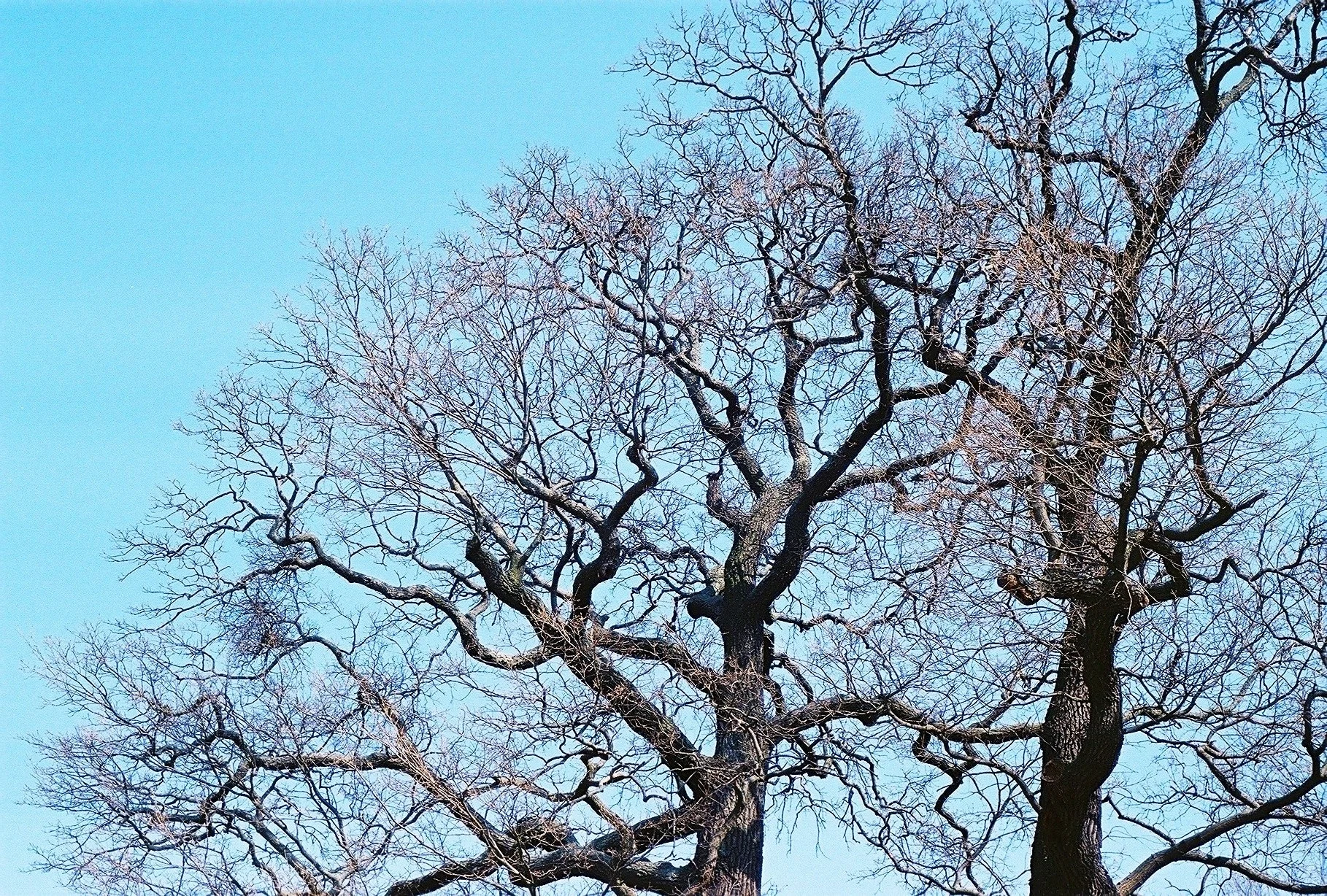 FH000018.jpg