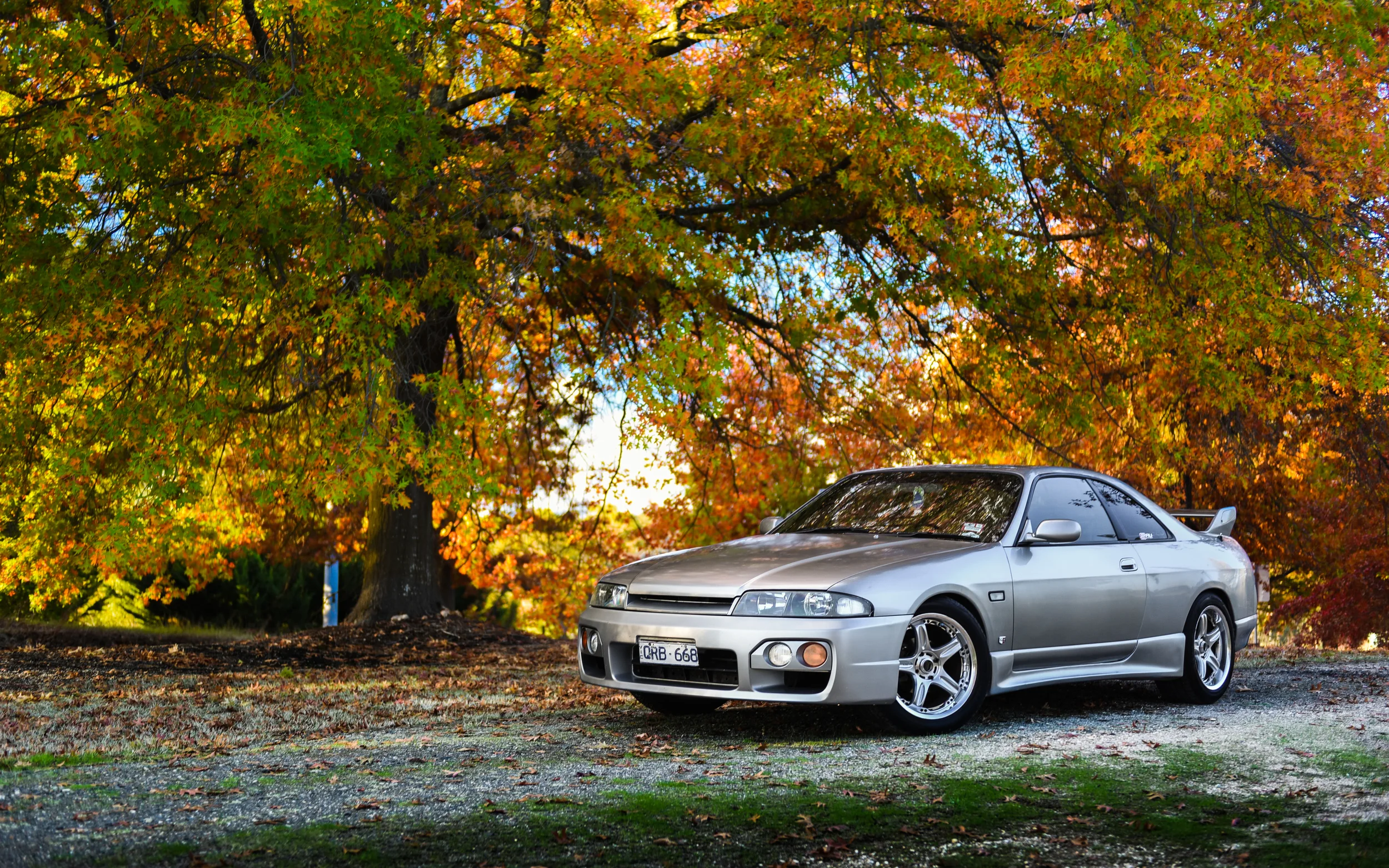 LHM_6113.jpg