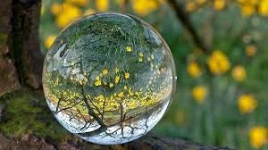 Crystal ball.jpg