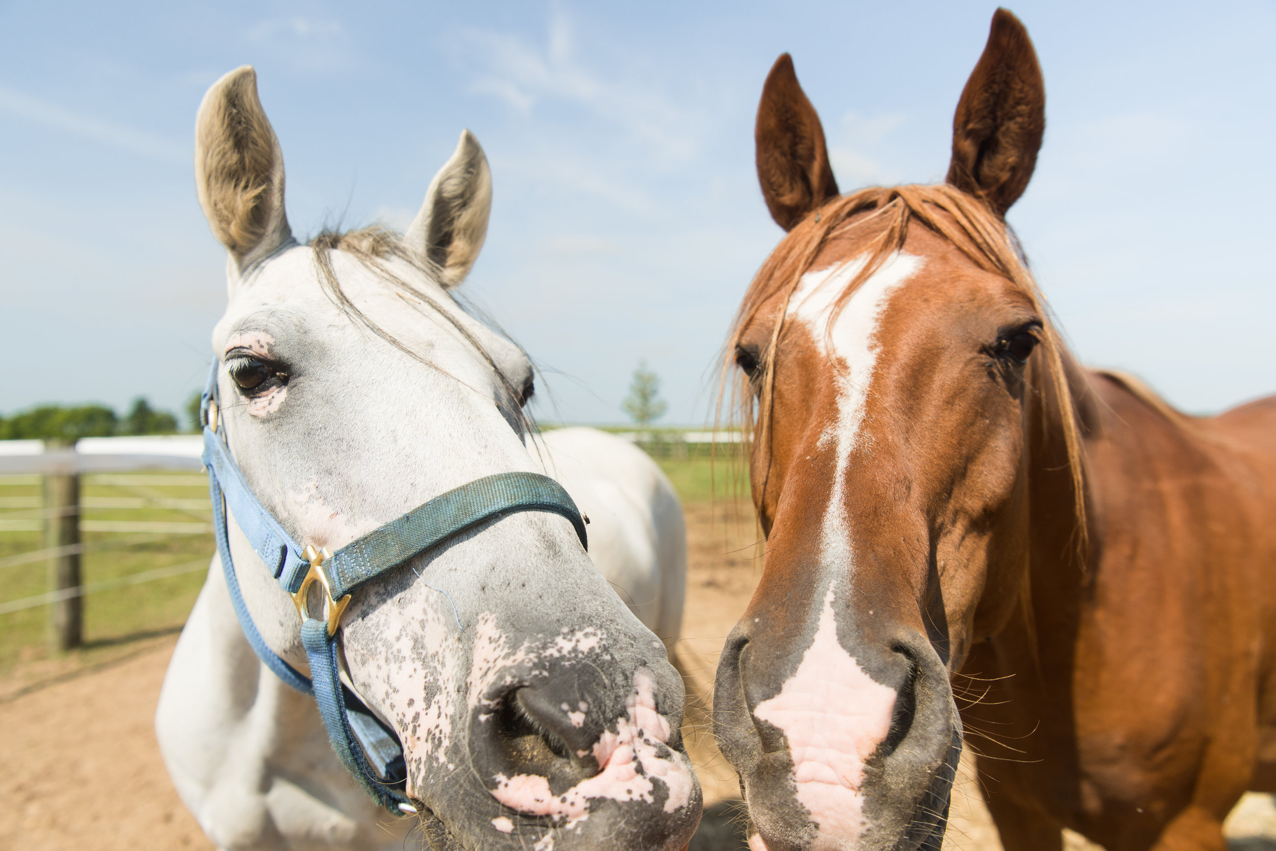 Morgan Phillips Photography-7102.jpg