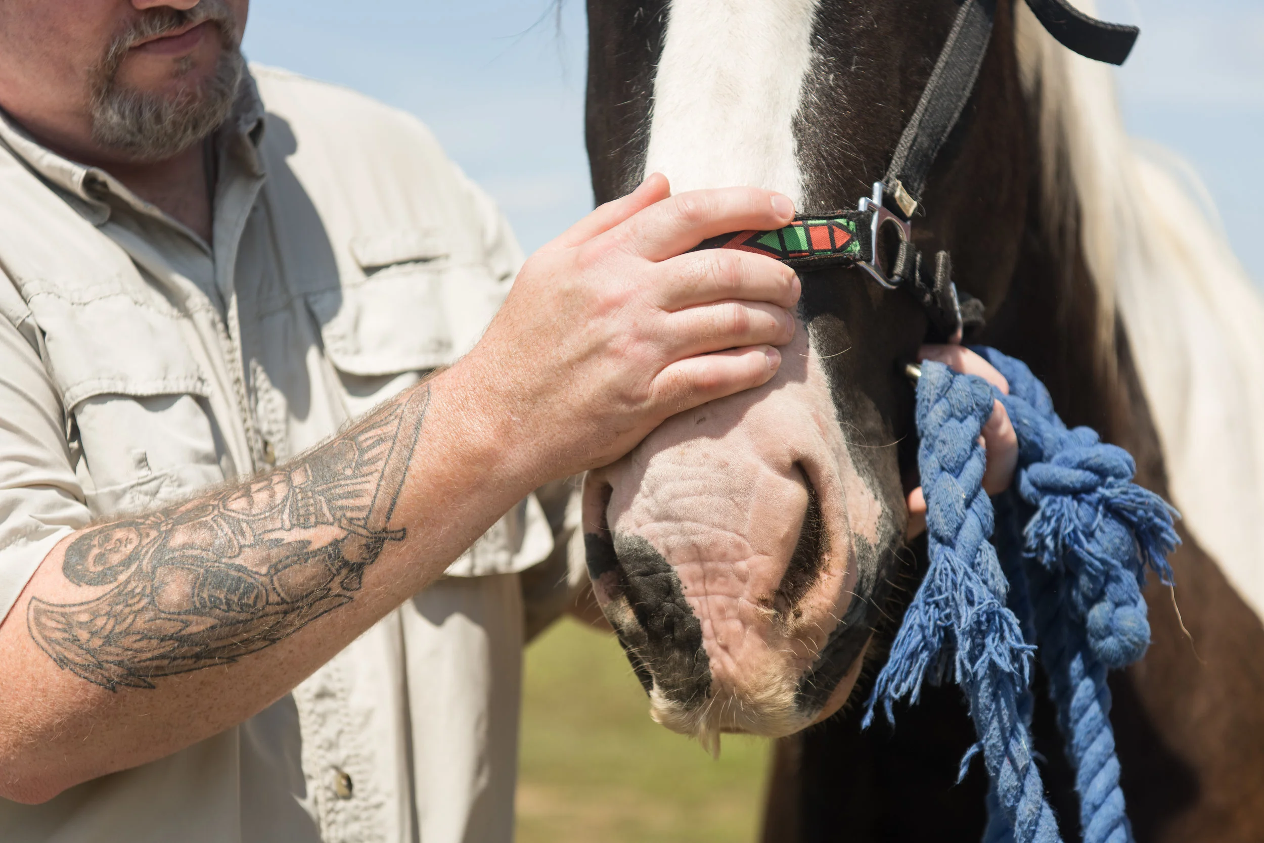 Morgan Phillips Photography-8141.jpg