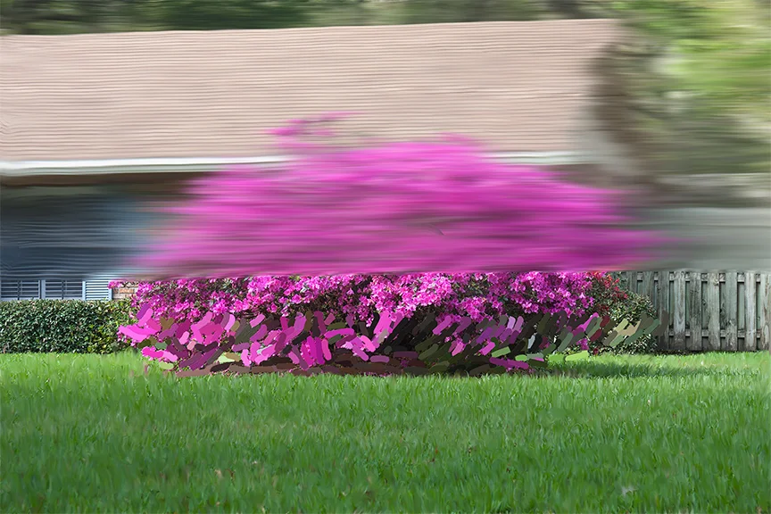 Azalea, 2015, 26 x 39 in. (66 x 99 cm) Pigment print on canvas, Unique.