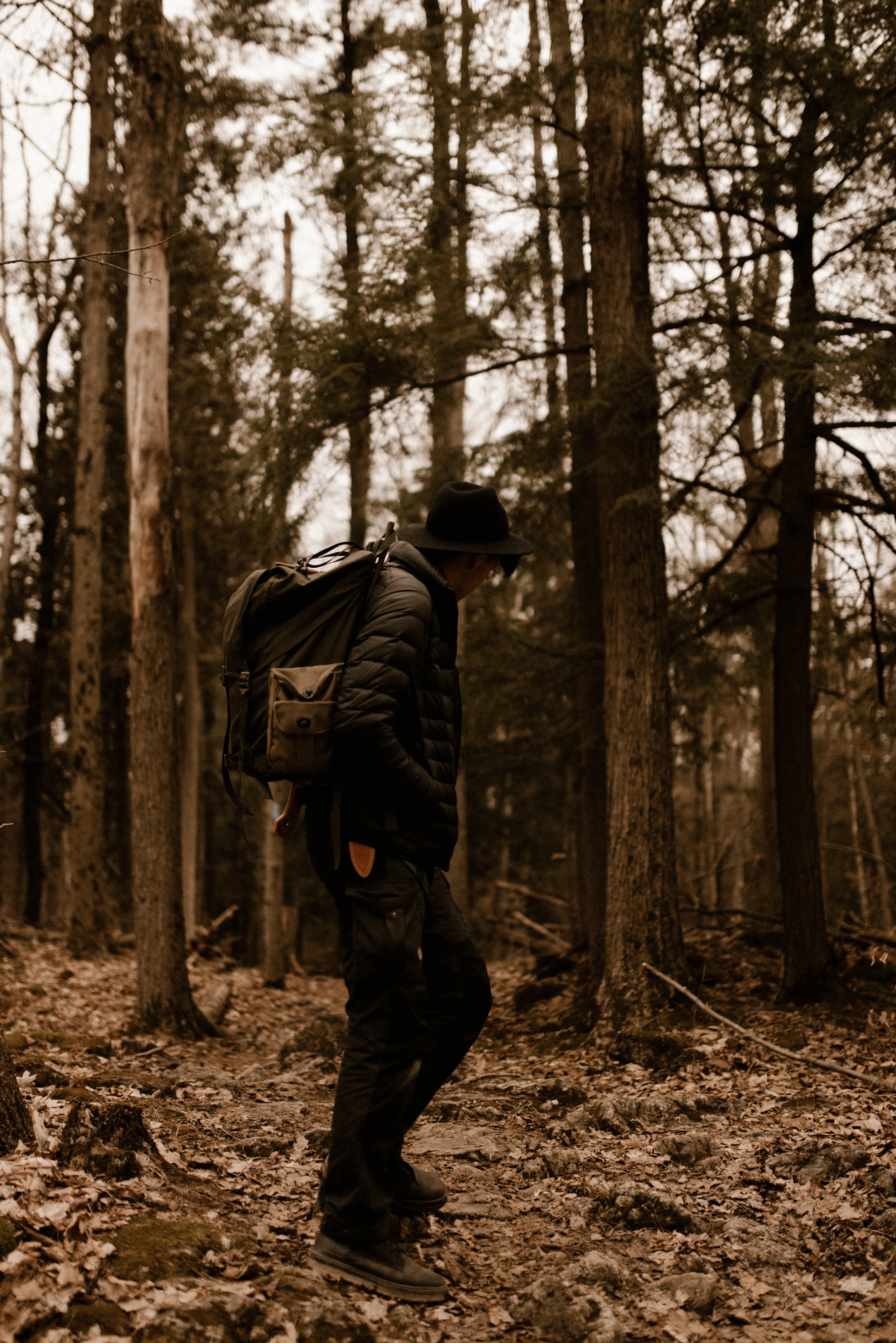 untitled (1 of 1)-12.jpg