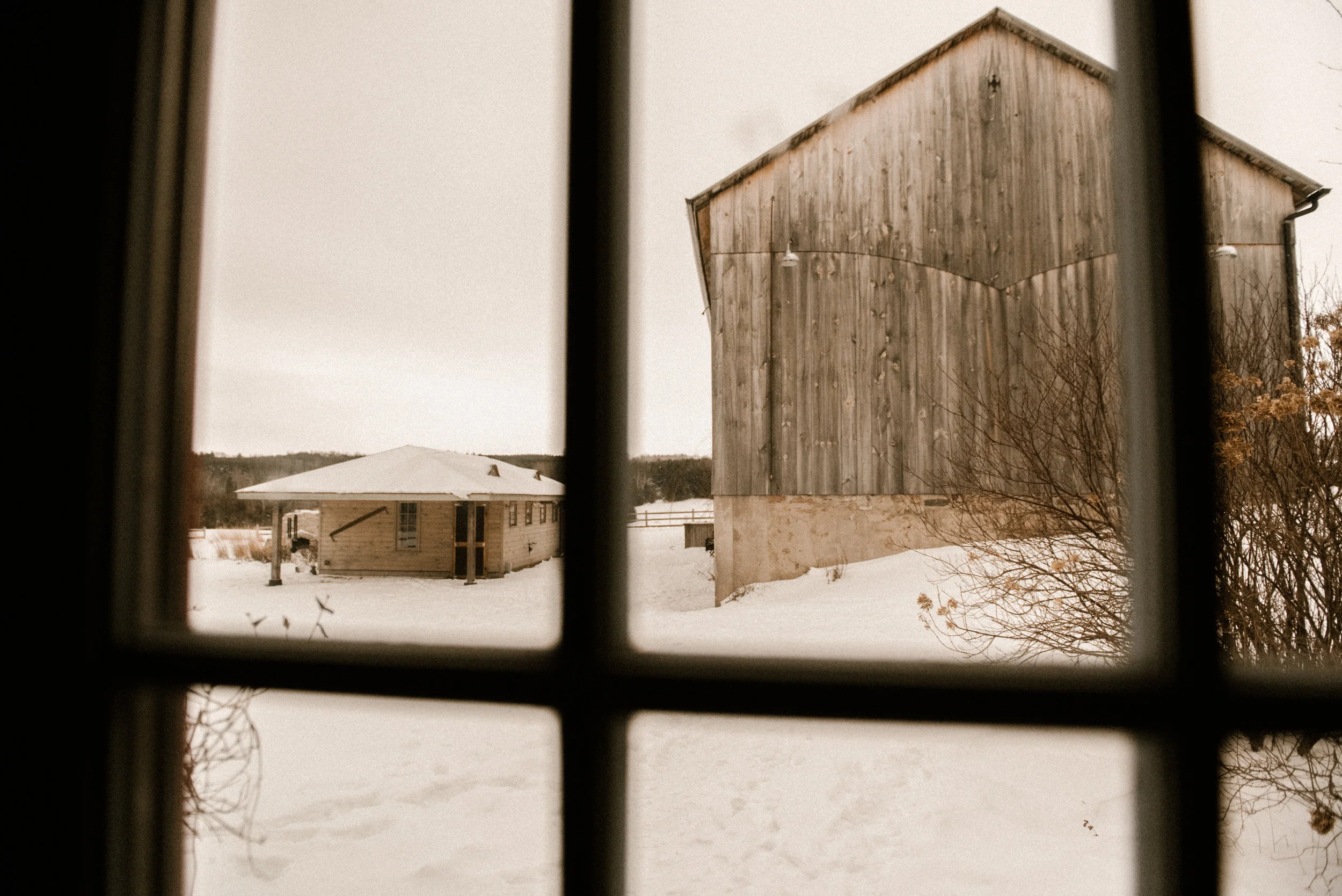 untitled (9 of 24).jpg