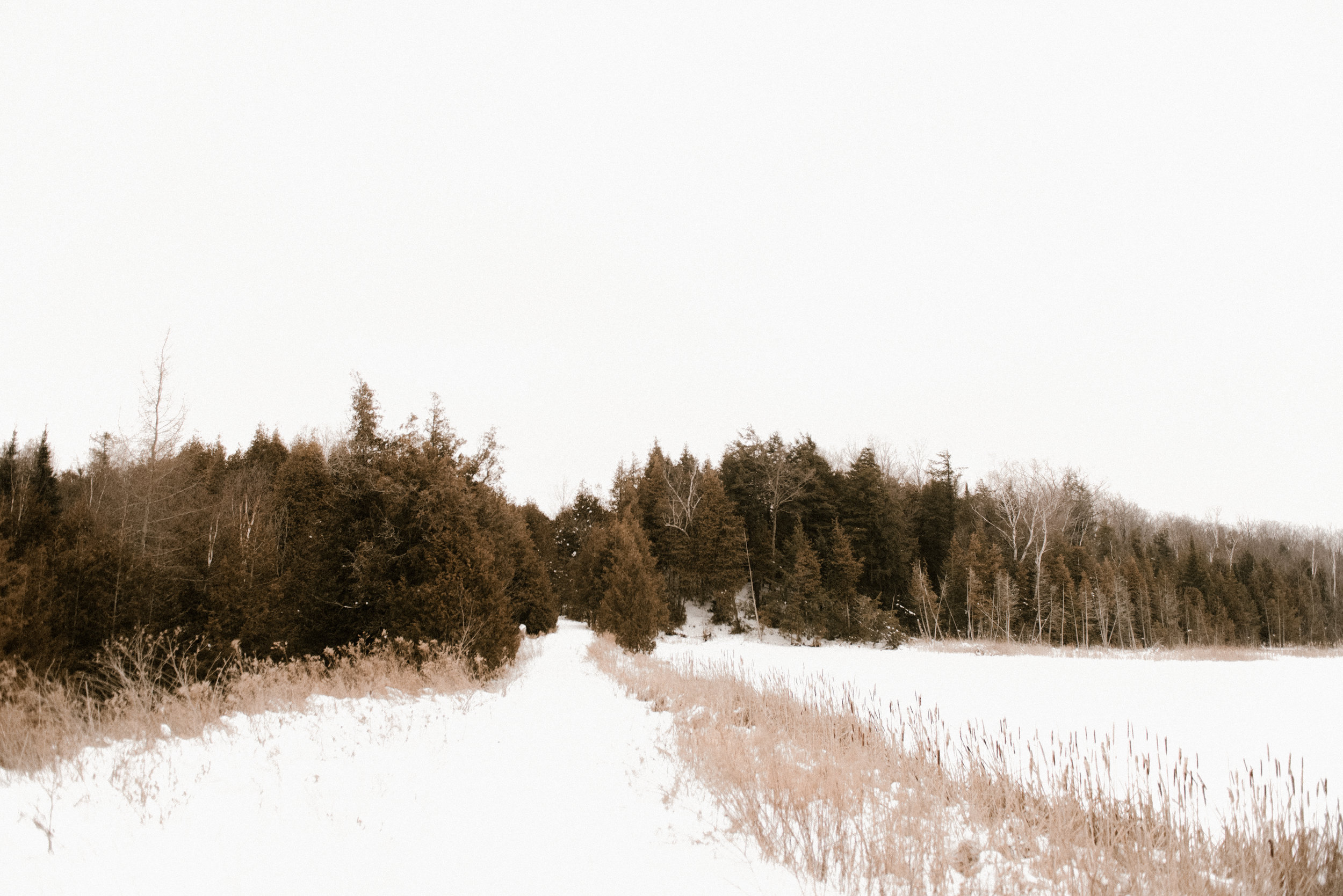 untitled (20 of 24).jpg