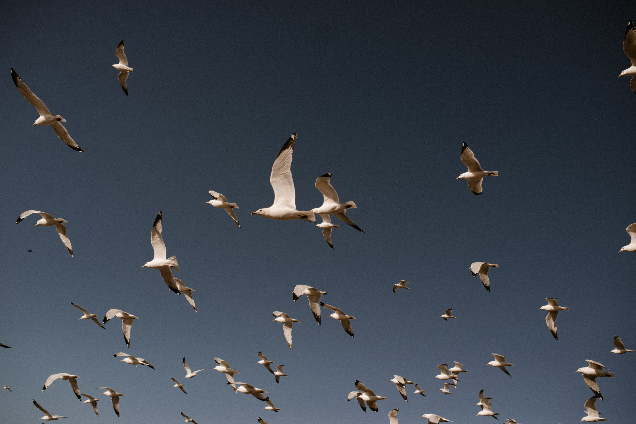 untitled (1 of 1)-3.jpg