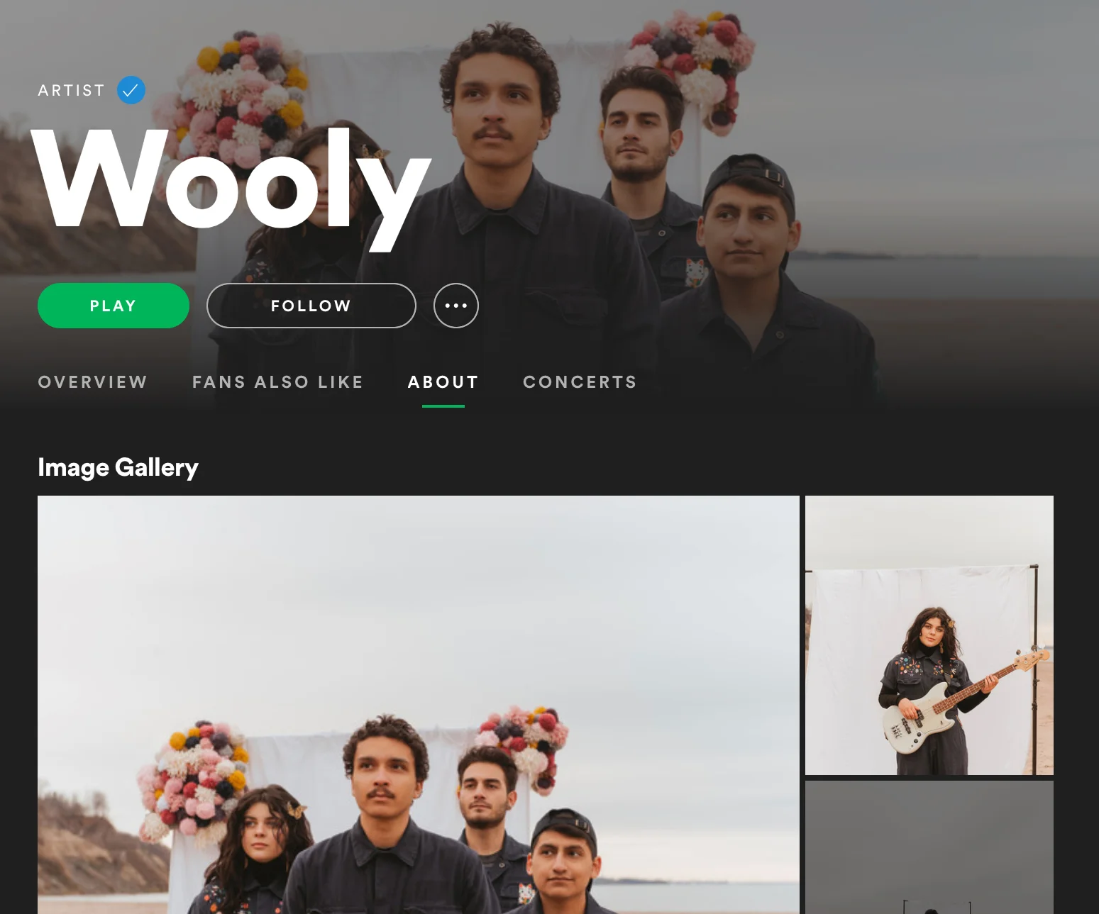 Wooly Spotify.jpg