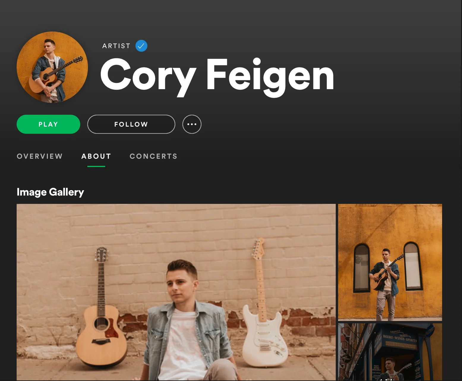 Cory Feigen spotify.jpg