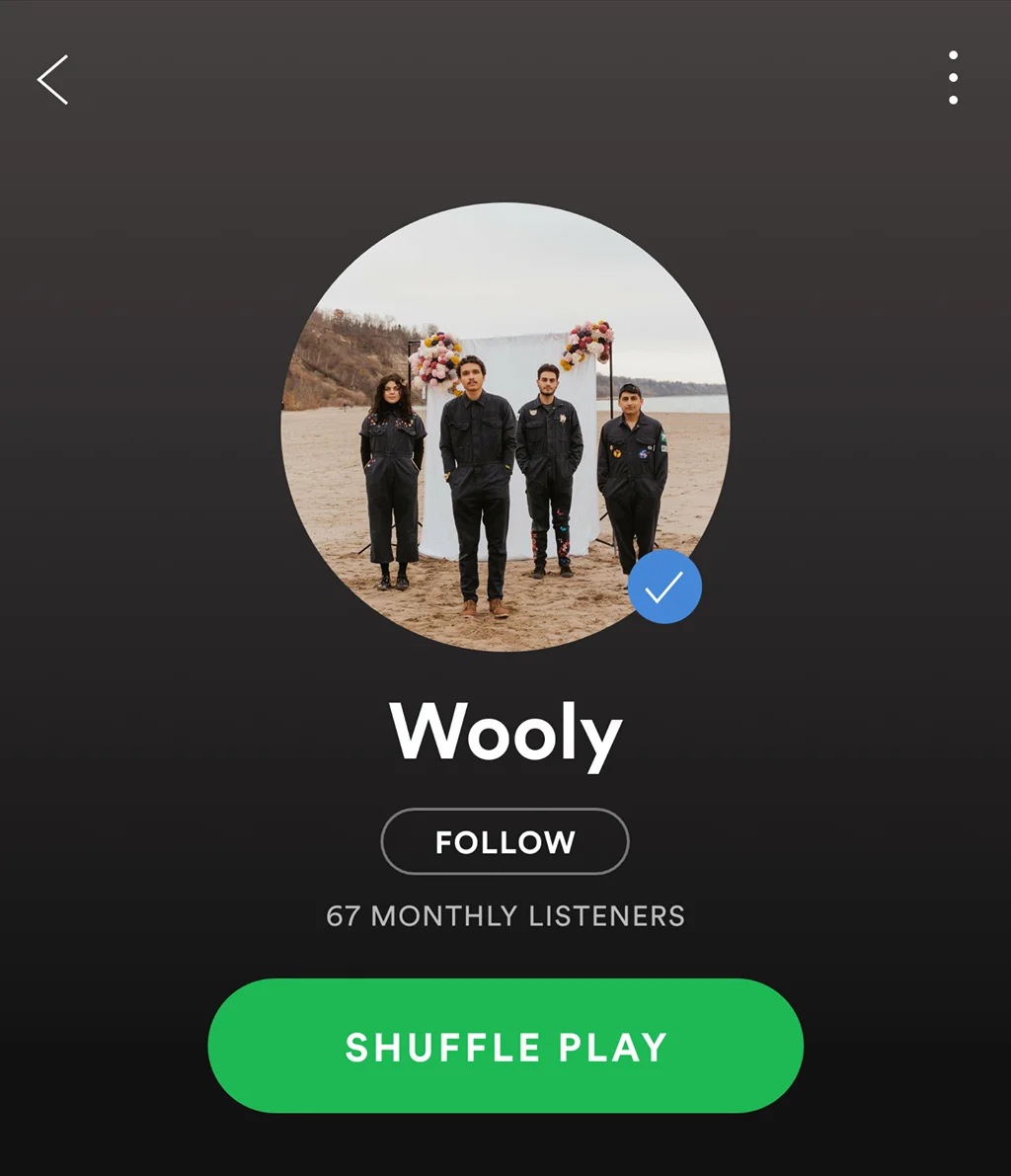 Wooly spotify2.jpg