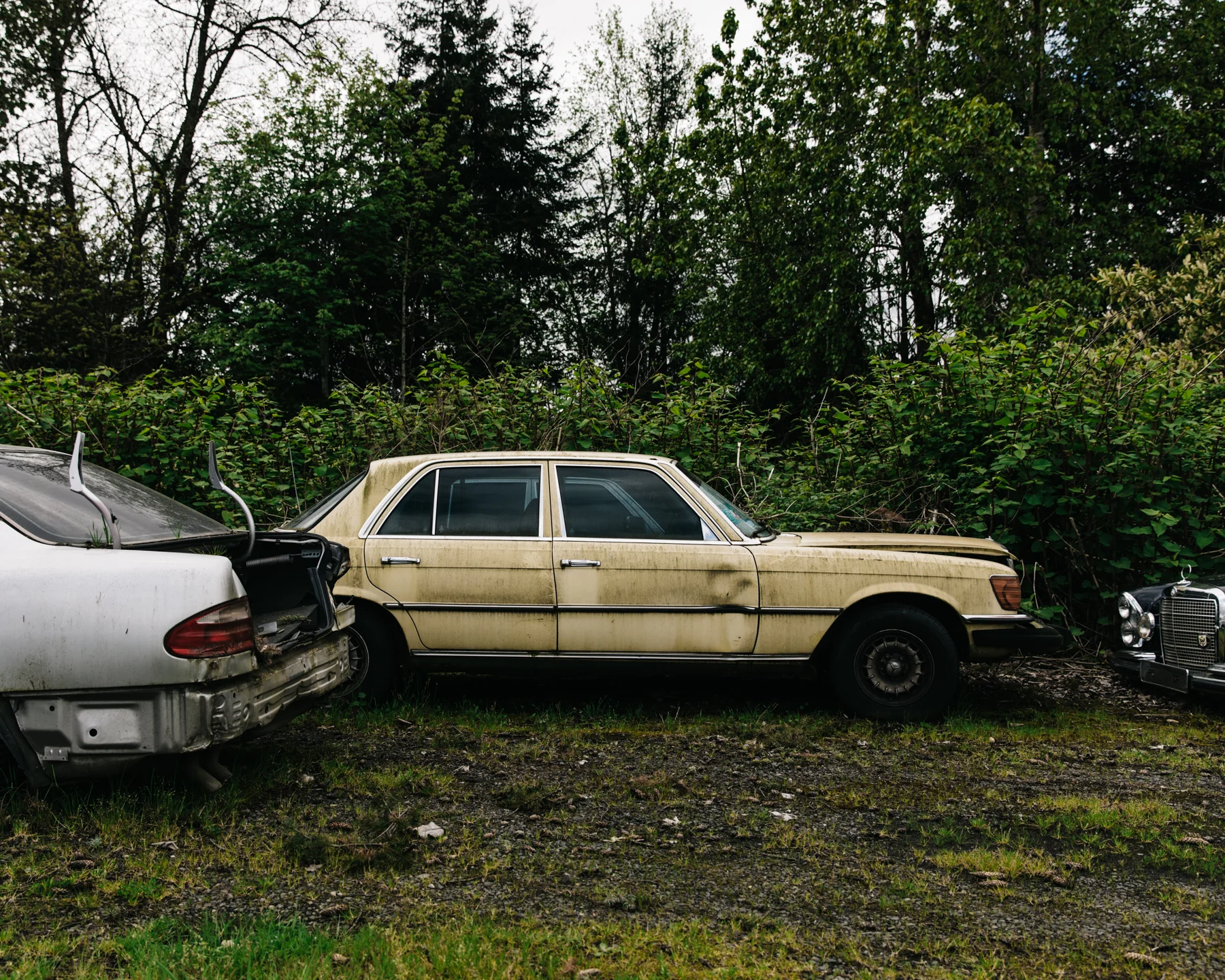 MERCEDES_BENZ-4.jpg