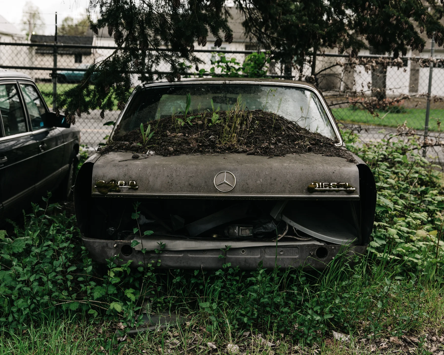 MERCEDES_BENZ-11.jpg