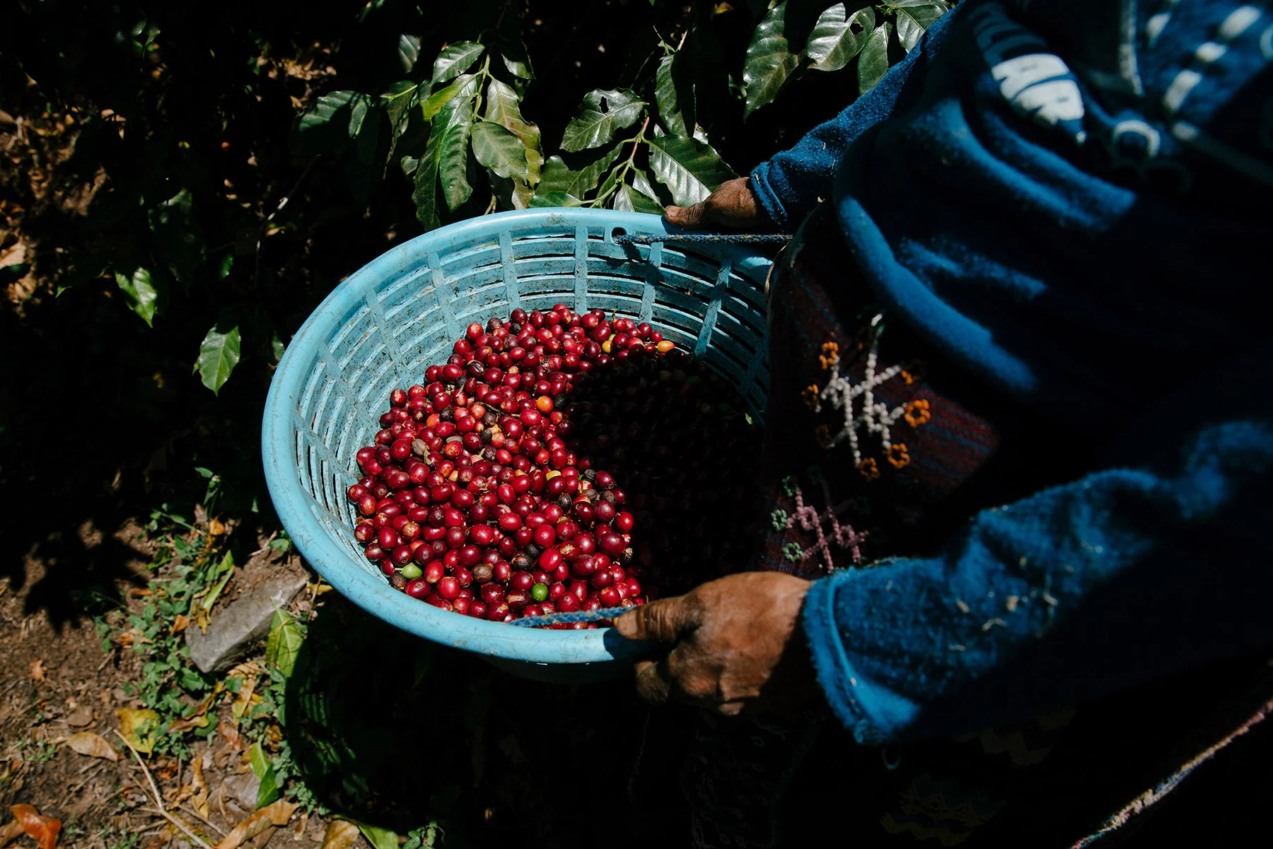 HEART_GUATEMALA_DACOSTA-9.jpg