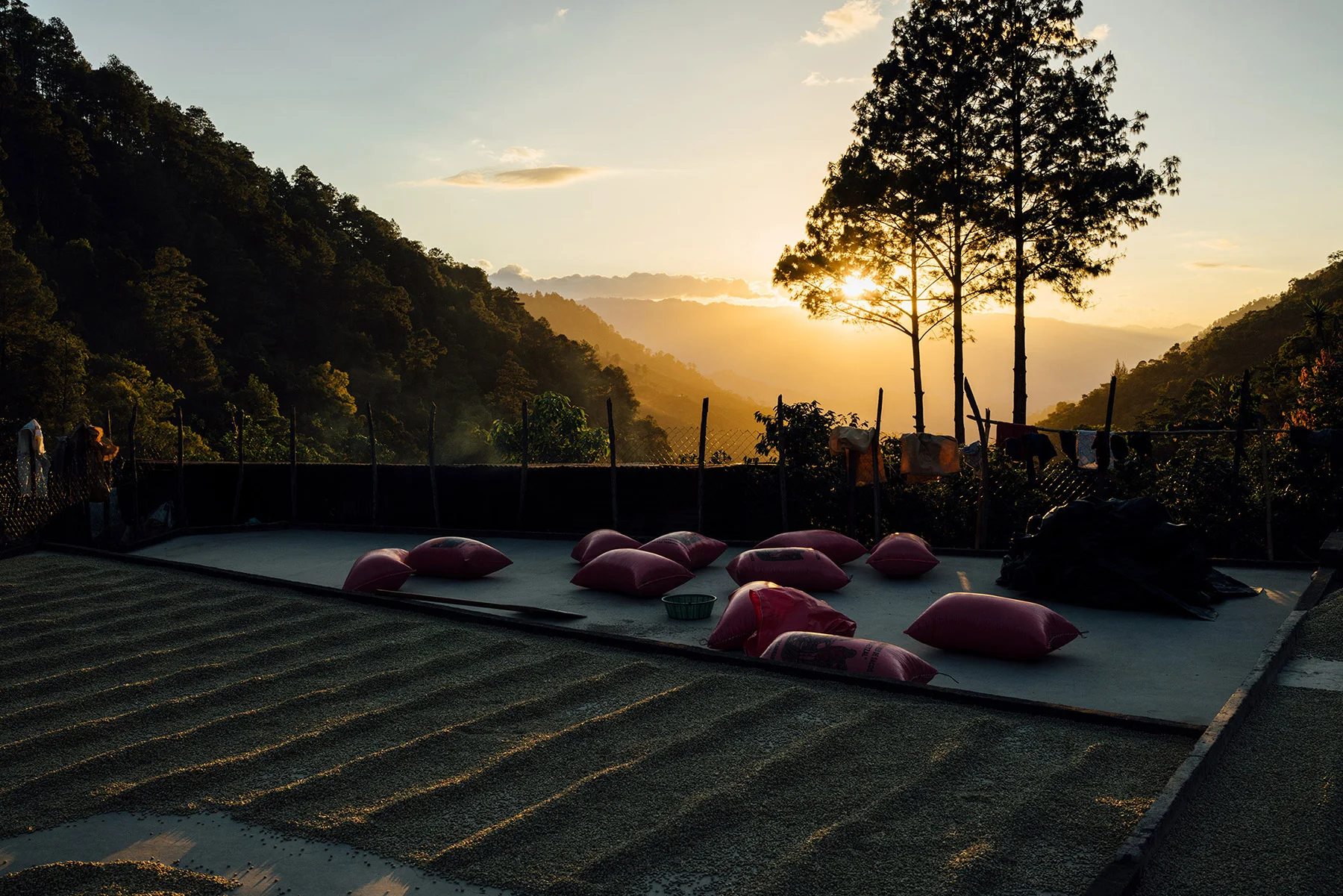 HEART_GUATEMALA_DACOSTA-26.jpg