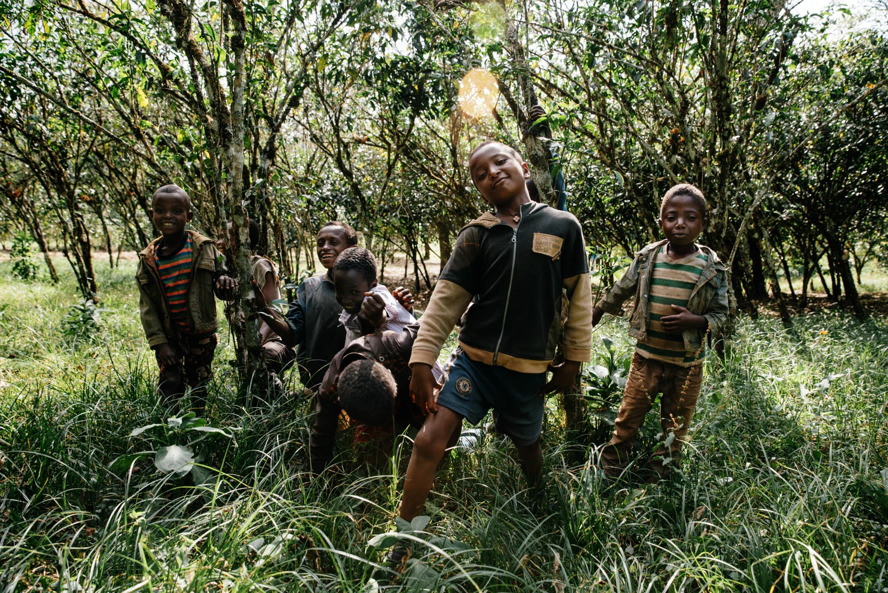 COFFEE-ETHIOPIA-KENYA-DACOSTA-34.jpg