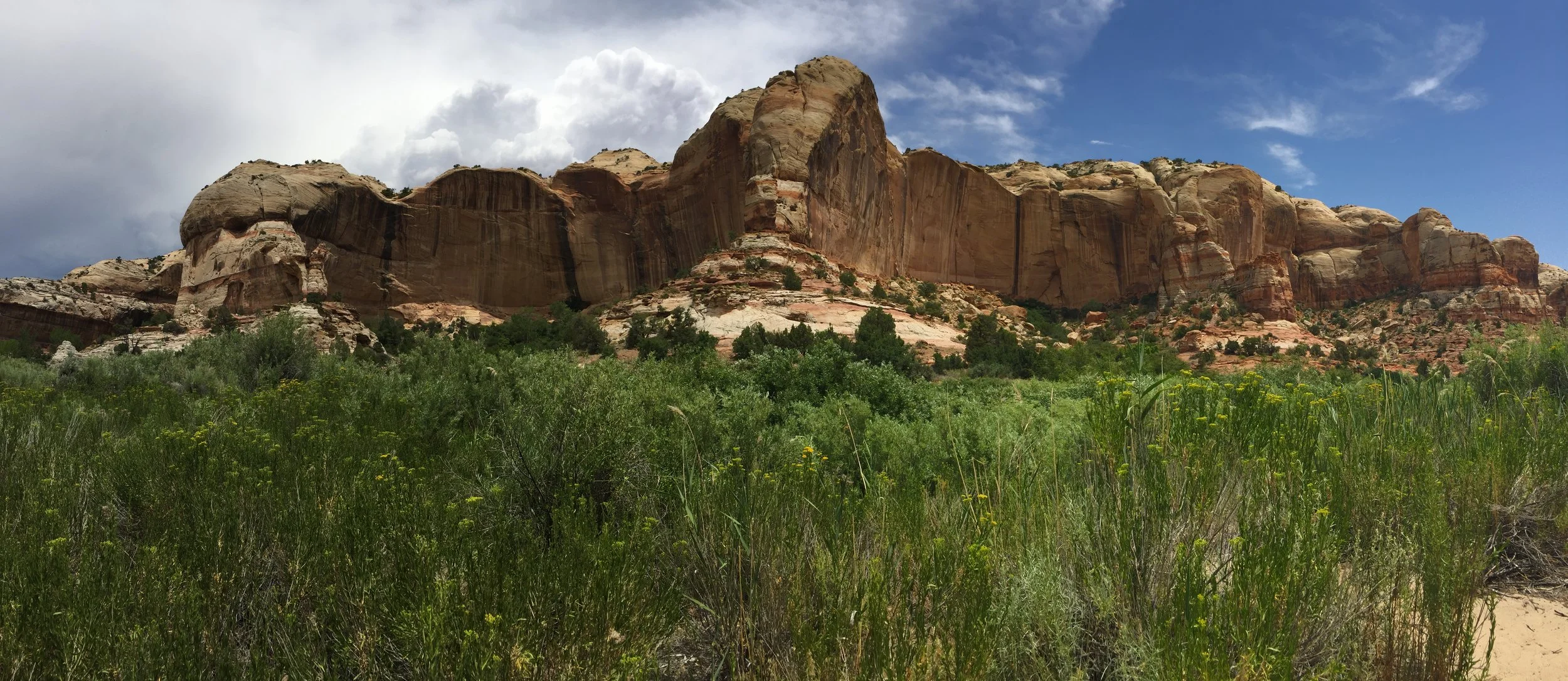 NEIL_UTAH_24.JPG