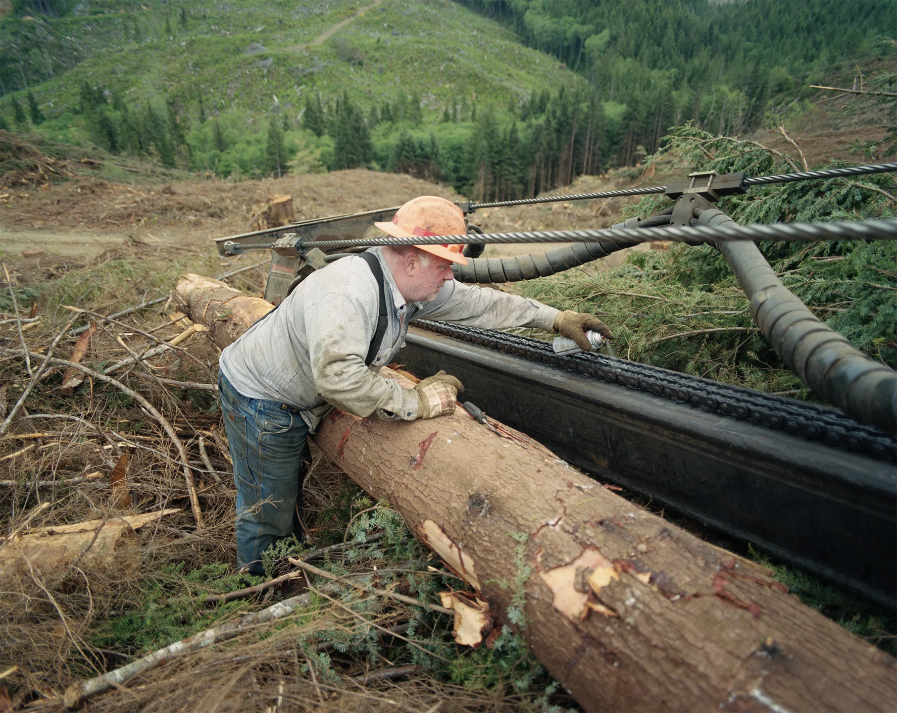 LOGGING_DACOSTA_2.jpg