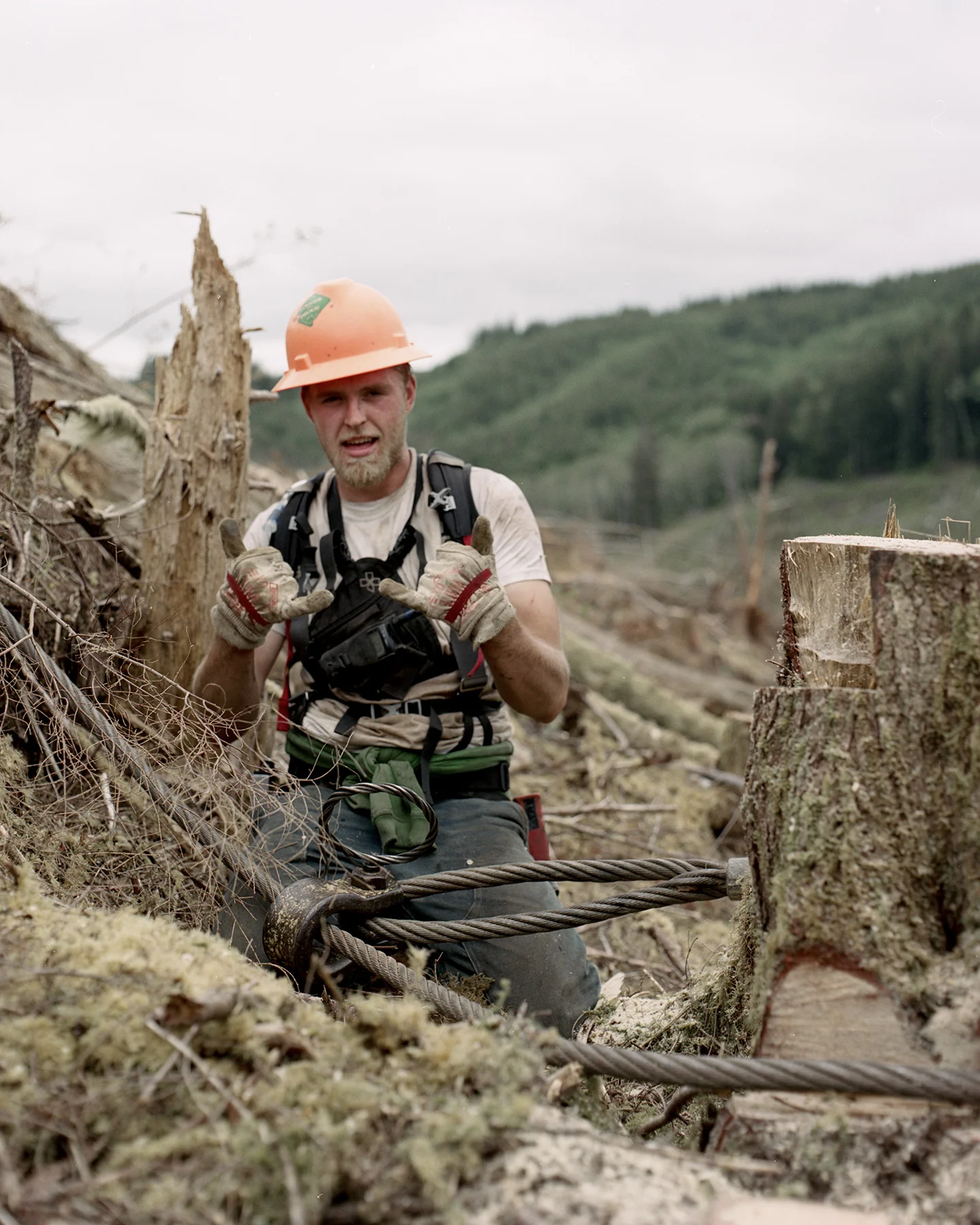 LOGGING_DACOSTA_11.jpg