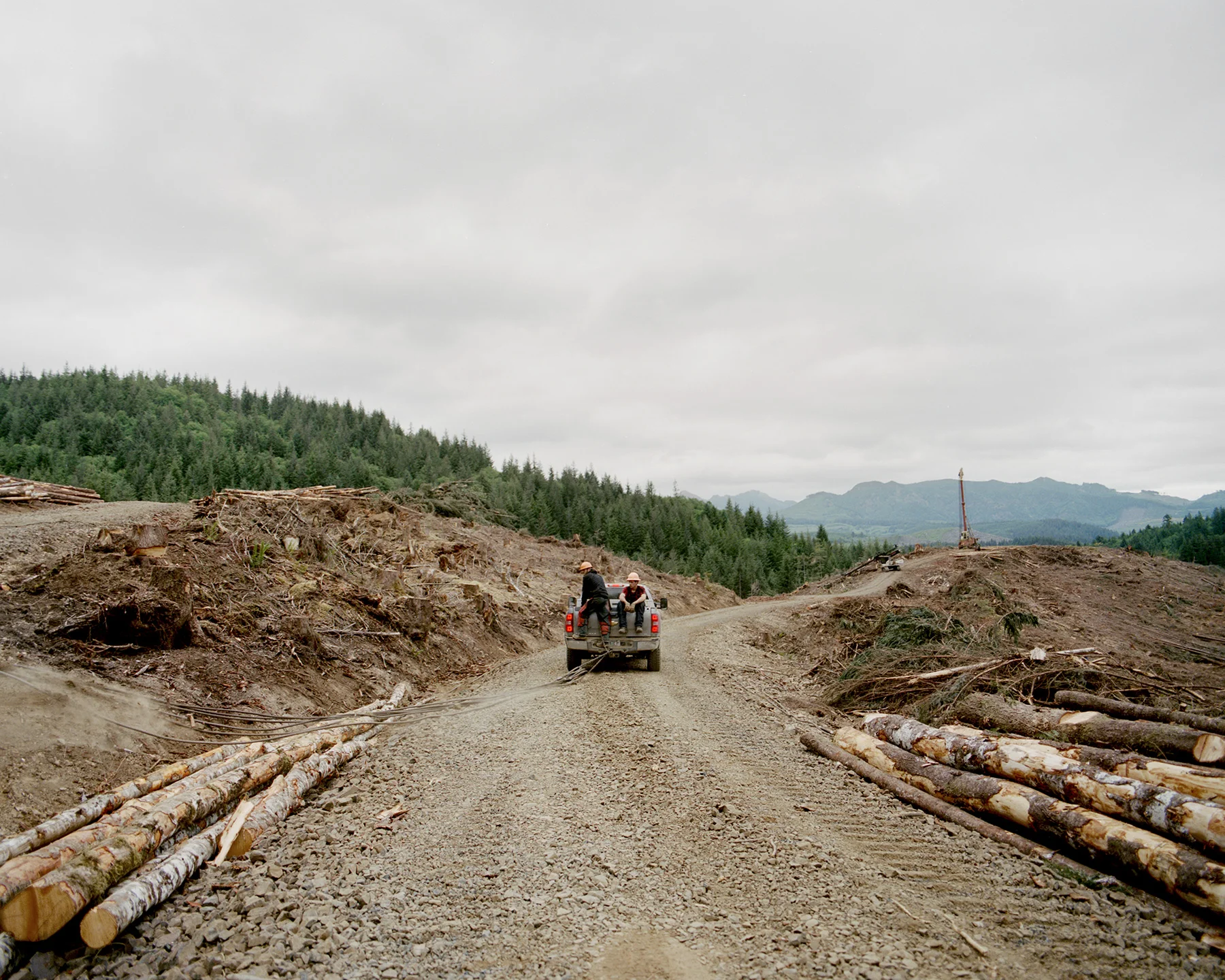 LOGGING_DACOSTA_12.jpg