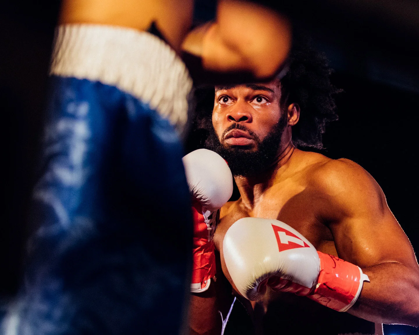 PRO_BOXING_2_DACOSTA-35.jpg