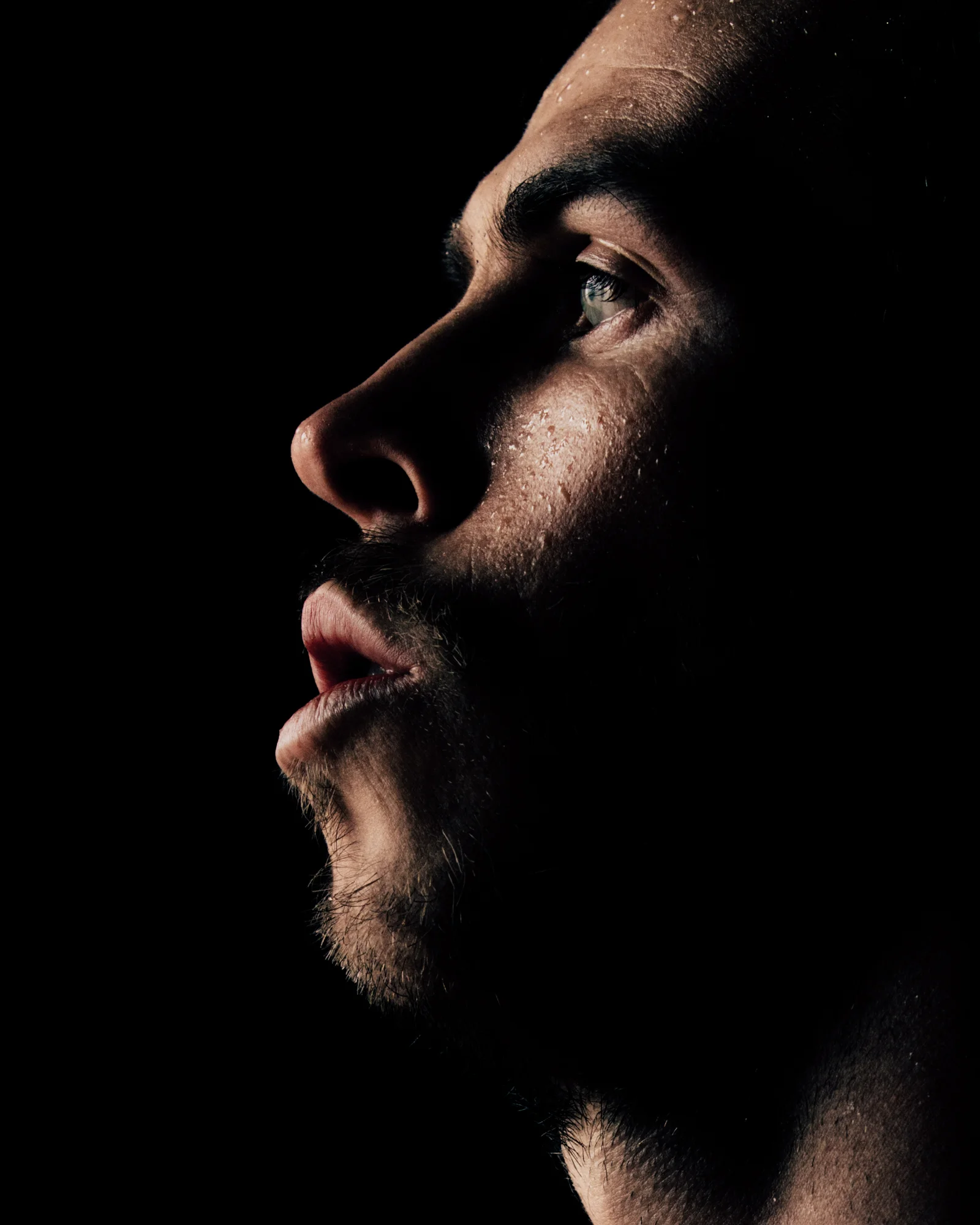 BALE_DACOSTA-1.jpg