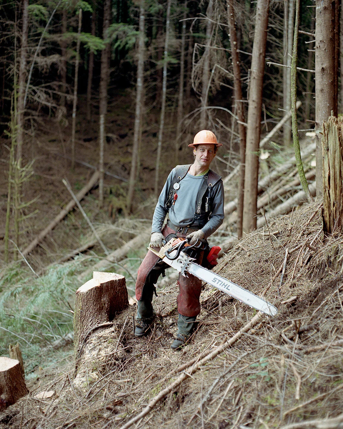 LOGGING_DACOSTA4.jpg