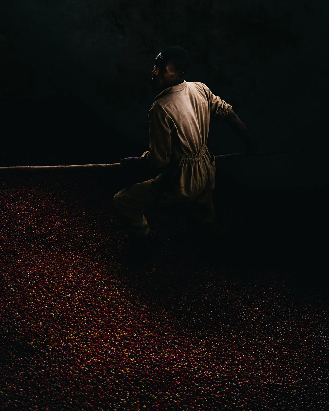 DACOSTA_HEART_AFRICA_23x.jpg