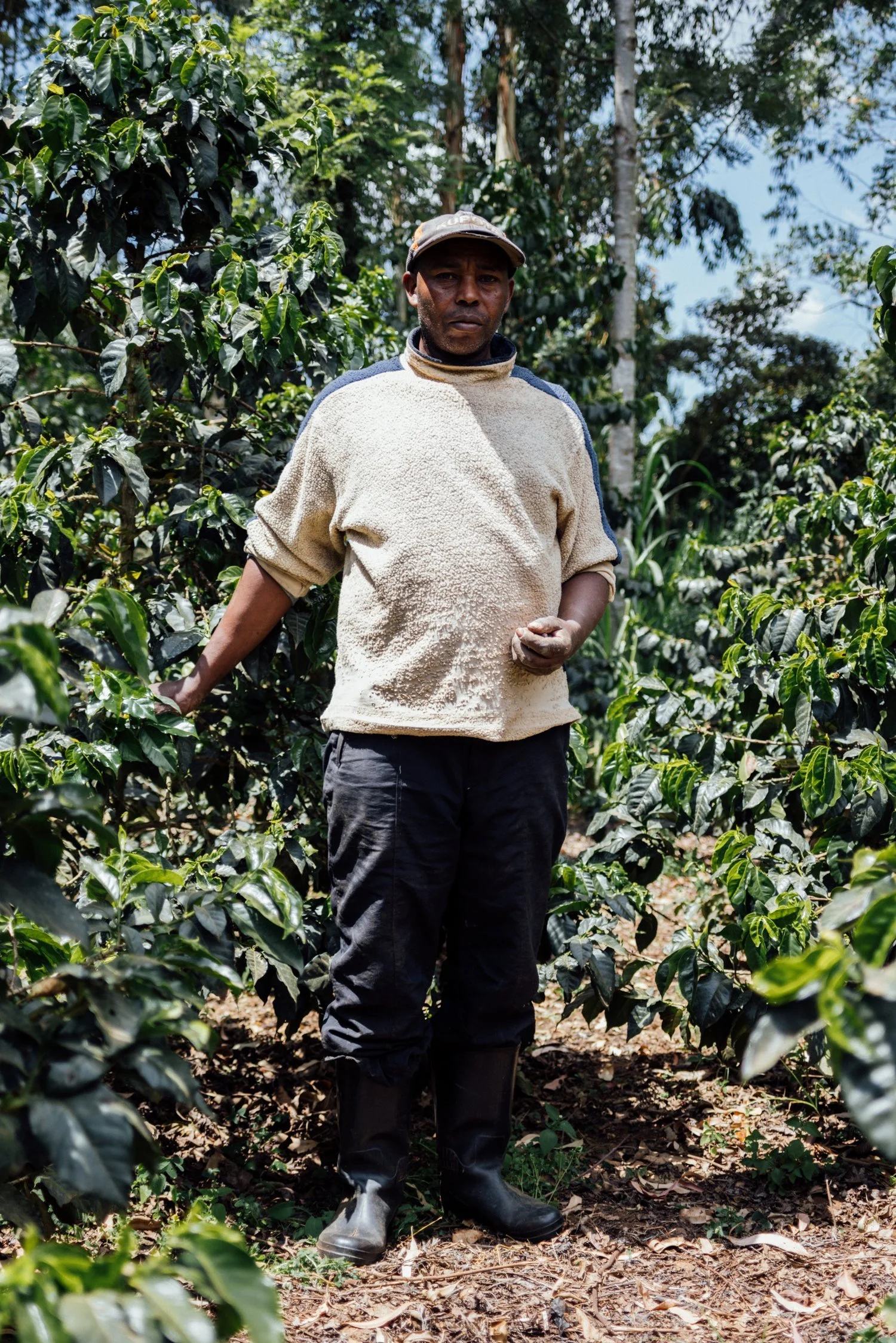 COFFEE_ORIGIN_DACOSTA-1.jpg