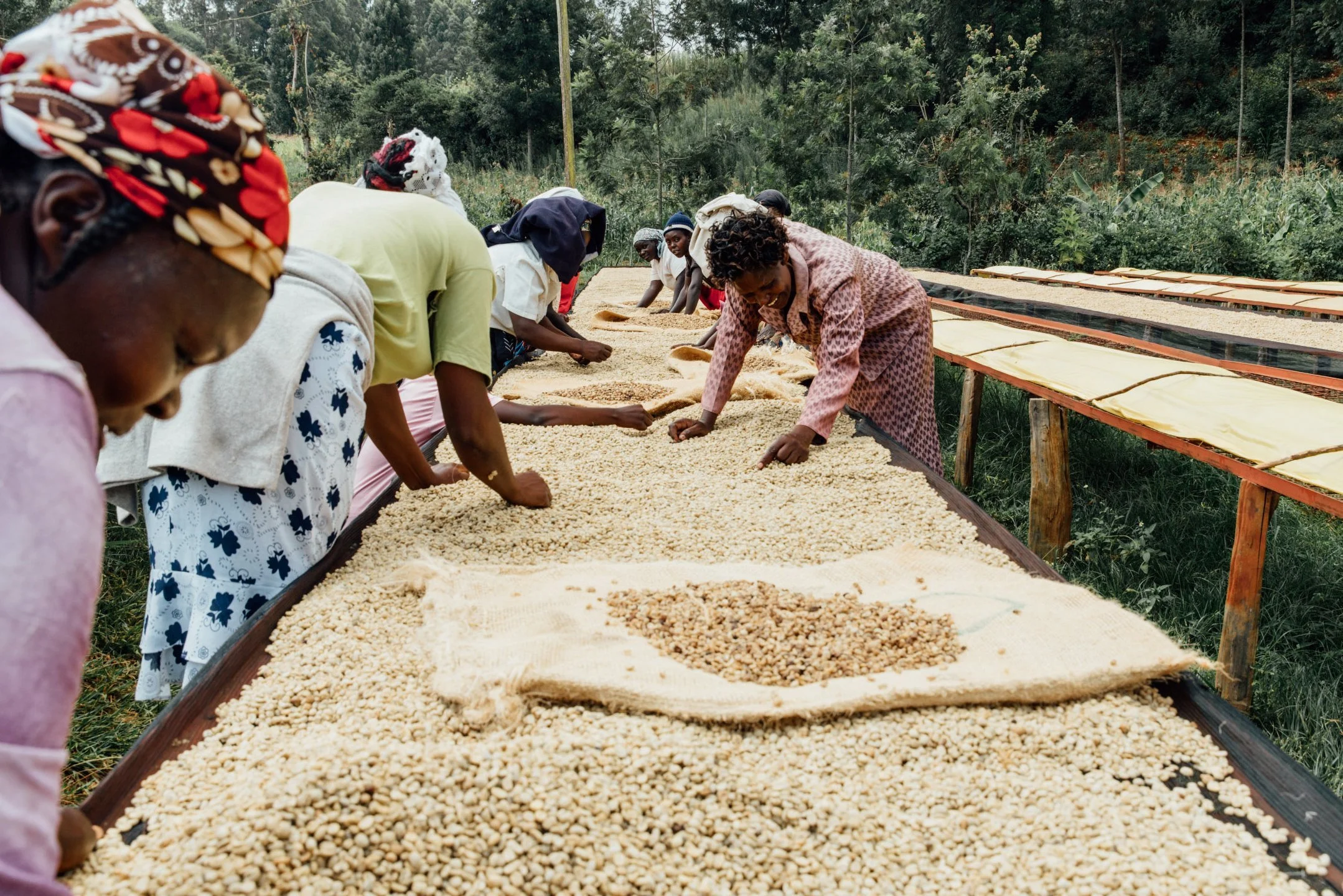 COFFEE_ORIGIN_DACOSTA-8.jpg