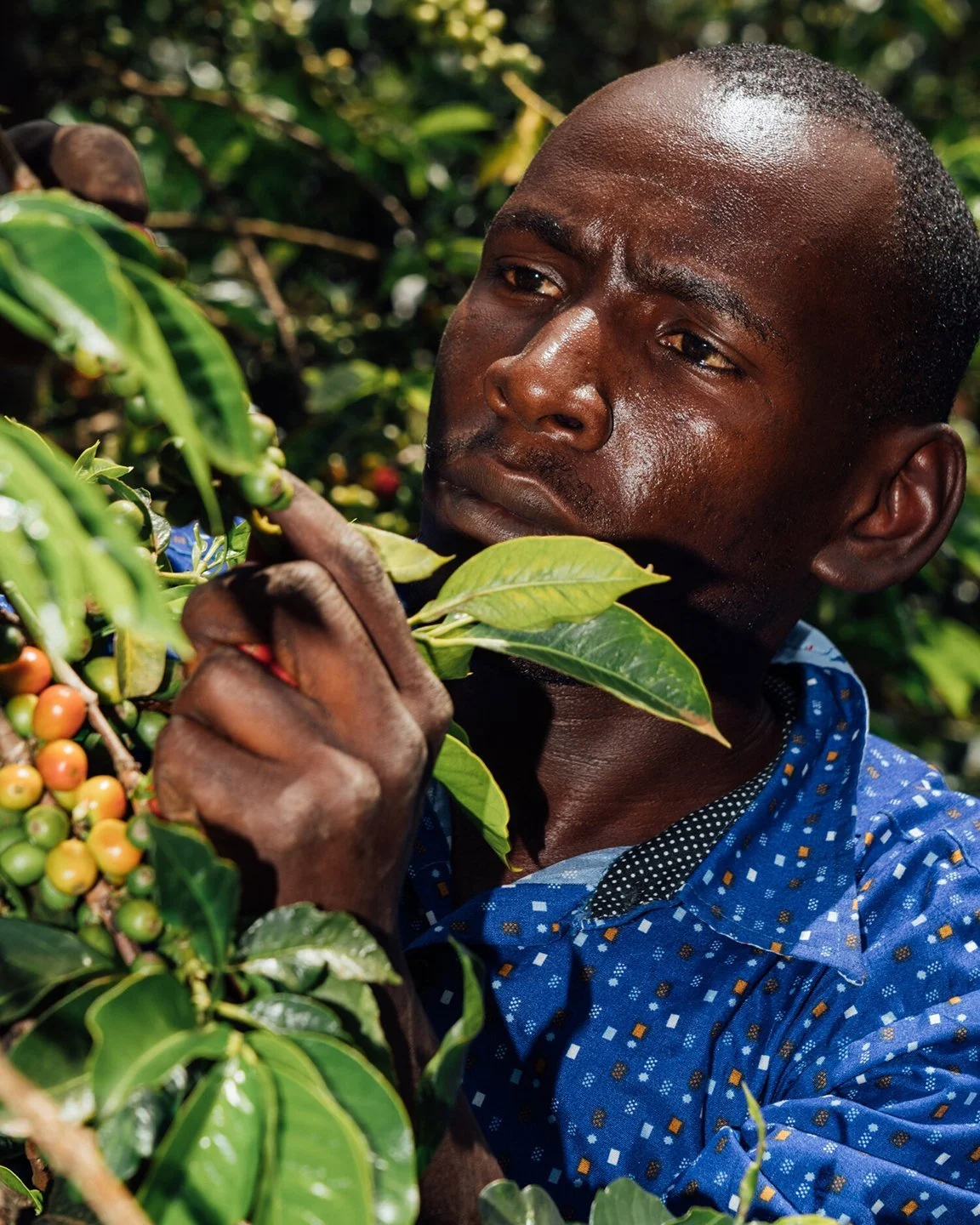 COFFEE_ORIGIN_DACOSTA-10.jpg