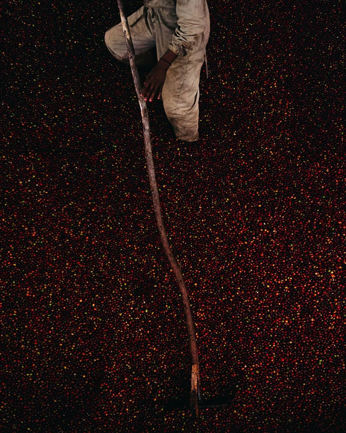 COFFEE_ORIGIN_DACOSTA-14.jpg