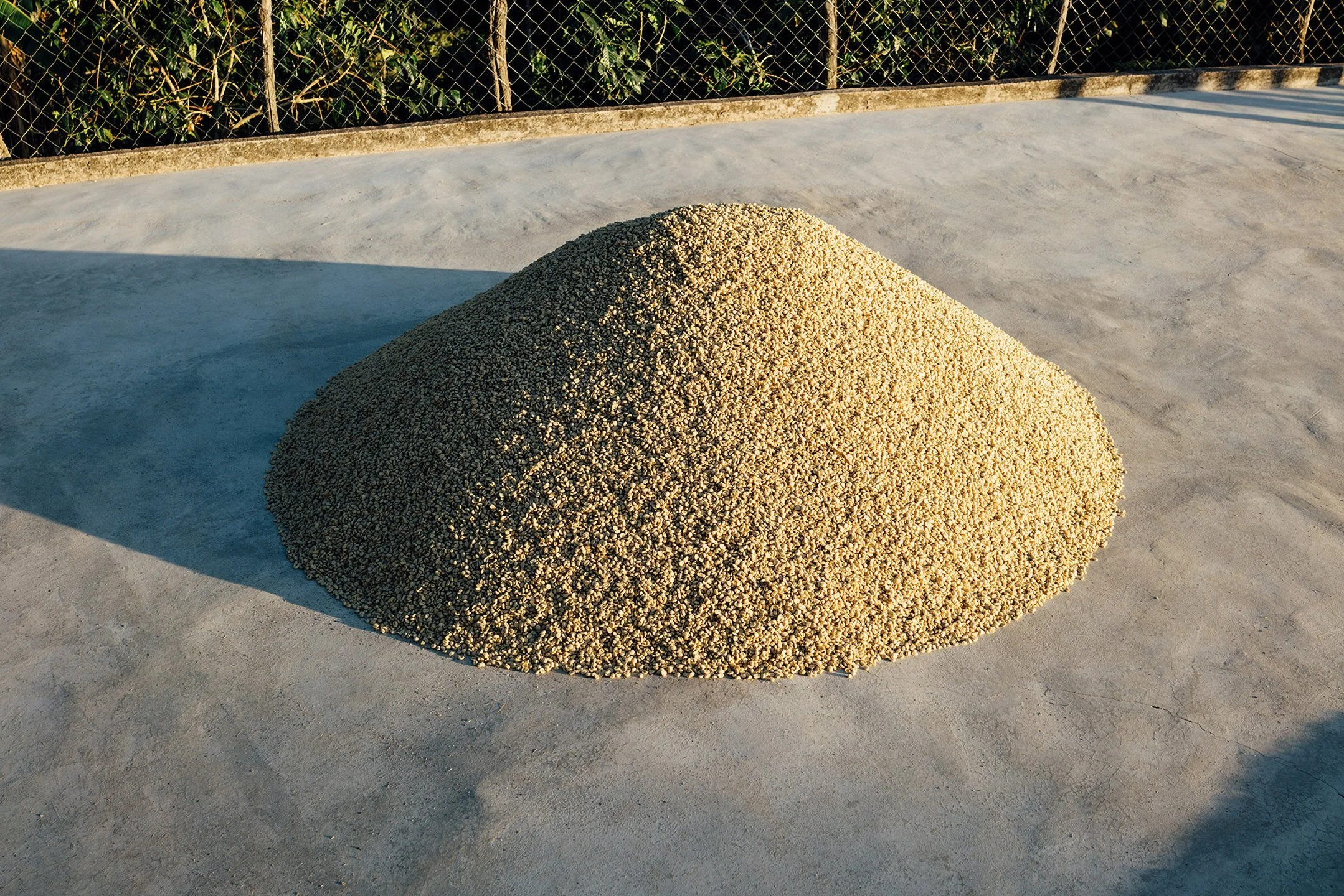 COFFEE_ORIGIN_DACOSTA-20.jpg