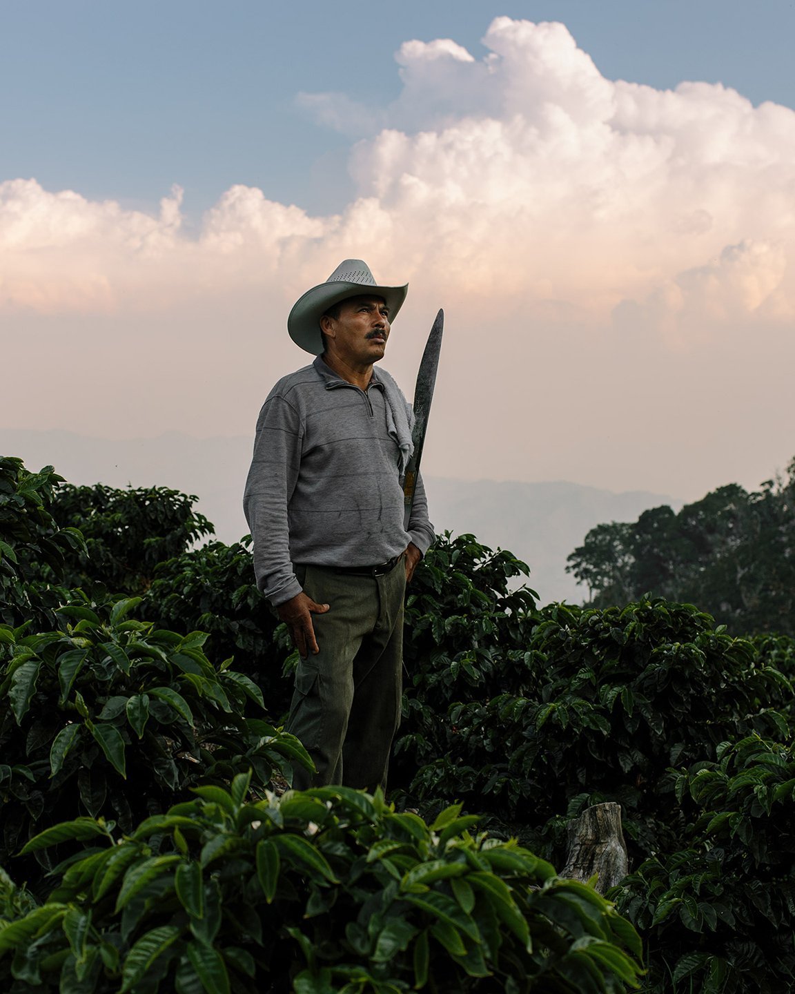 COFFEE_ORIGIN_DACOSTA-25.jpg