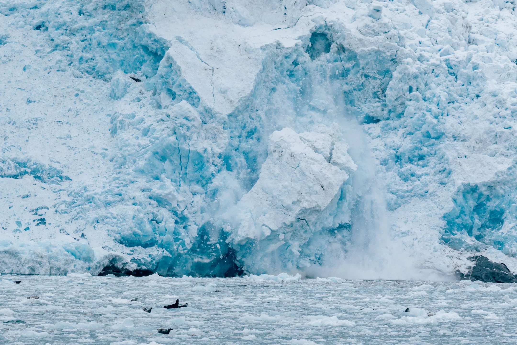 ALASKA_SURF_SPLIT_DACOSTA-291.jpg