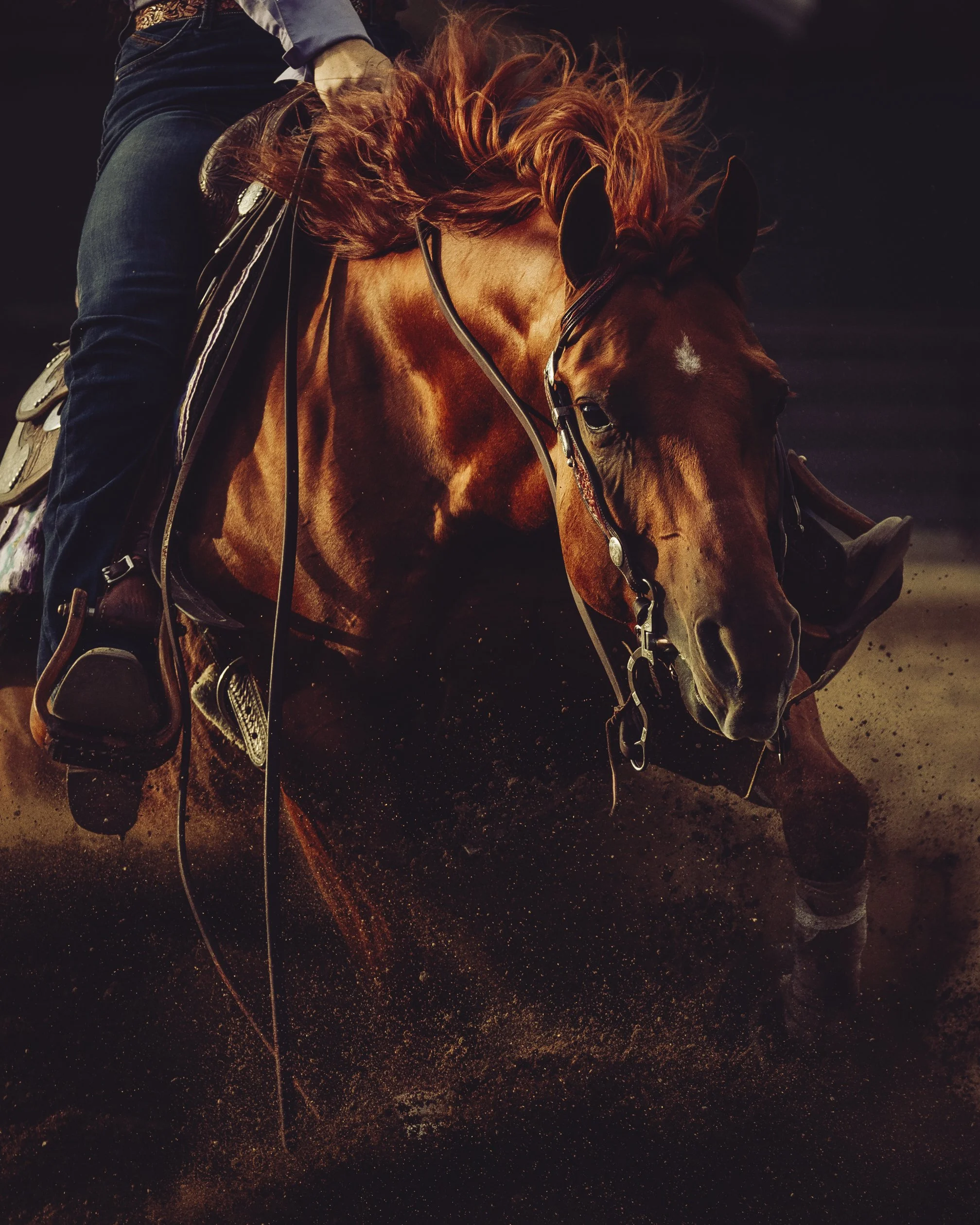 HORSE_REINING_DACOSTA-2.jpg