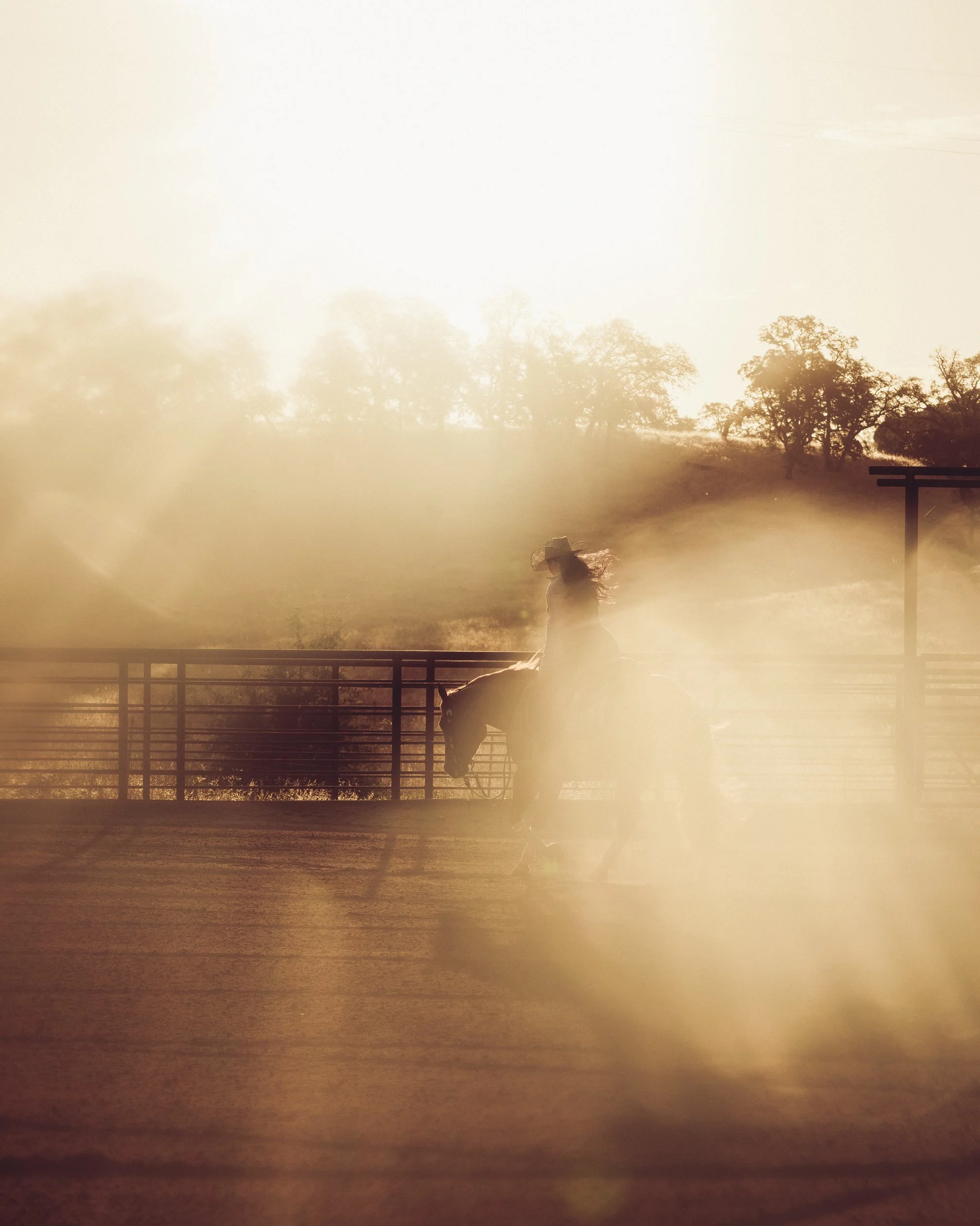 HORSE_REINING_DACOSTA-3.jpg