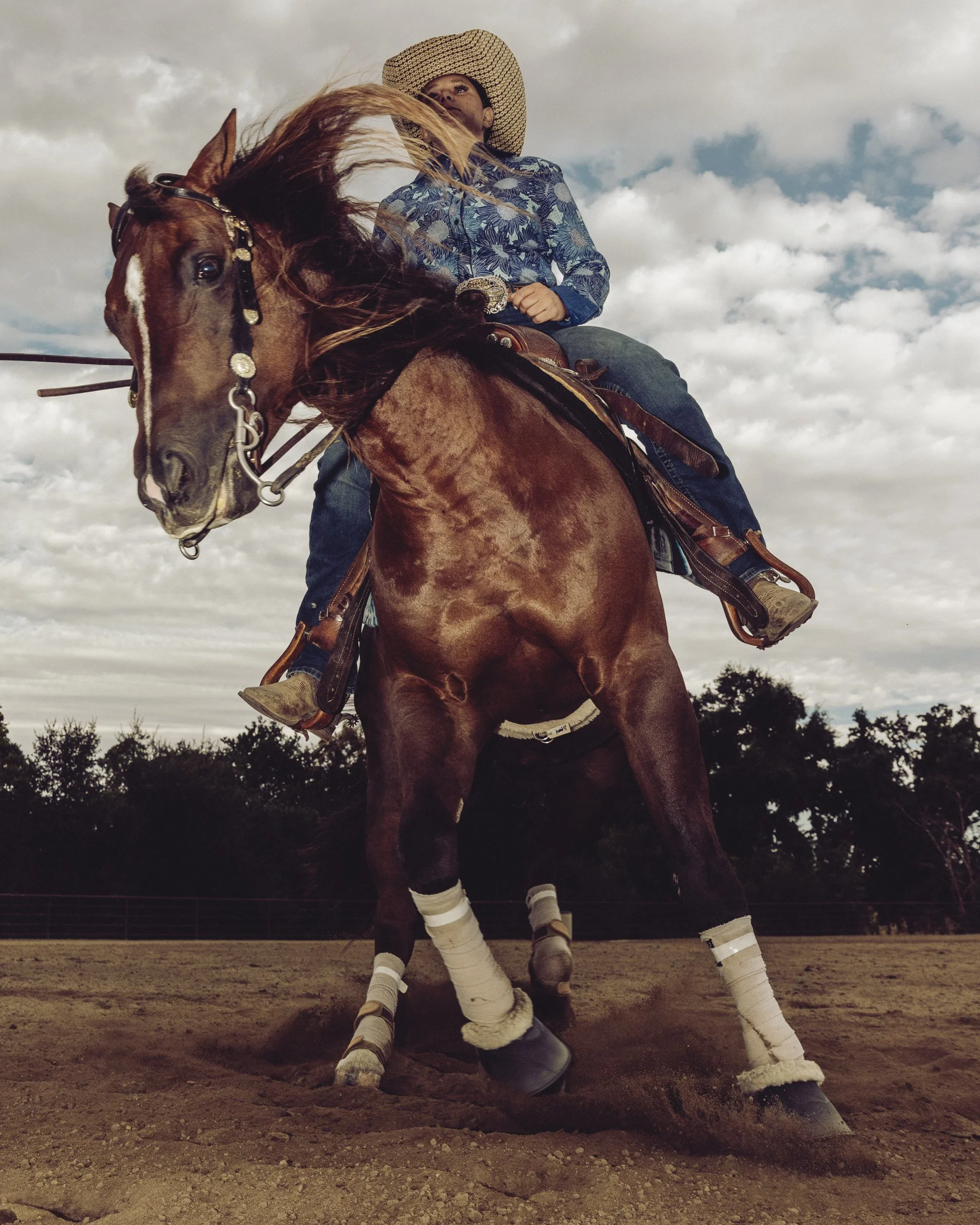 HORSE_REINING_DACOSTA-6.jpg